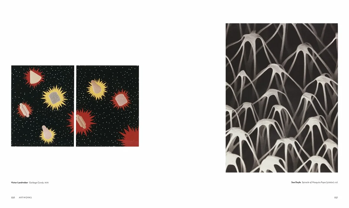 The Polaroid Project: At the Intersection of Art and Technology