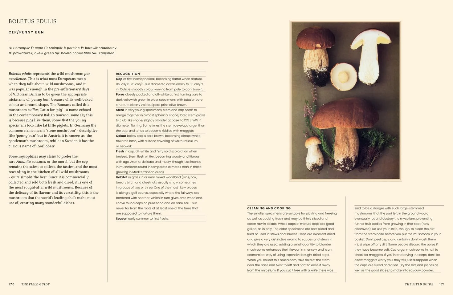 A Passion for Mushrooms: A comprehensive cookbook and foraging field guide for mushroom enthusiasts