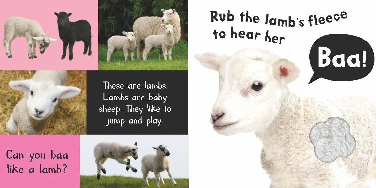 Noisy Farm: Includes Six Sounds!