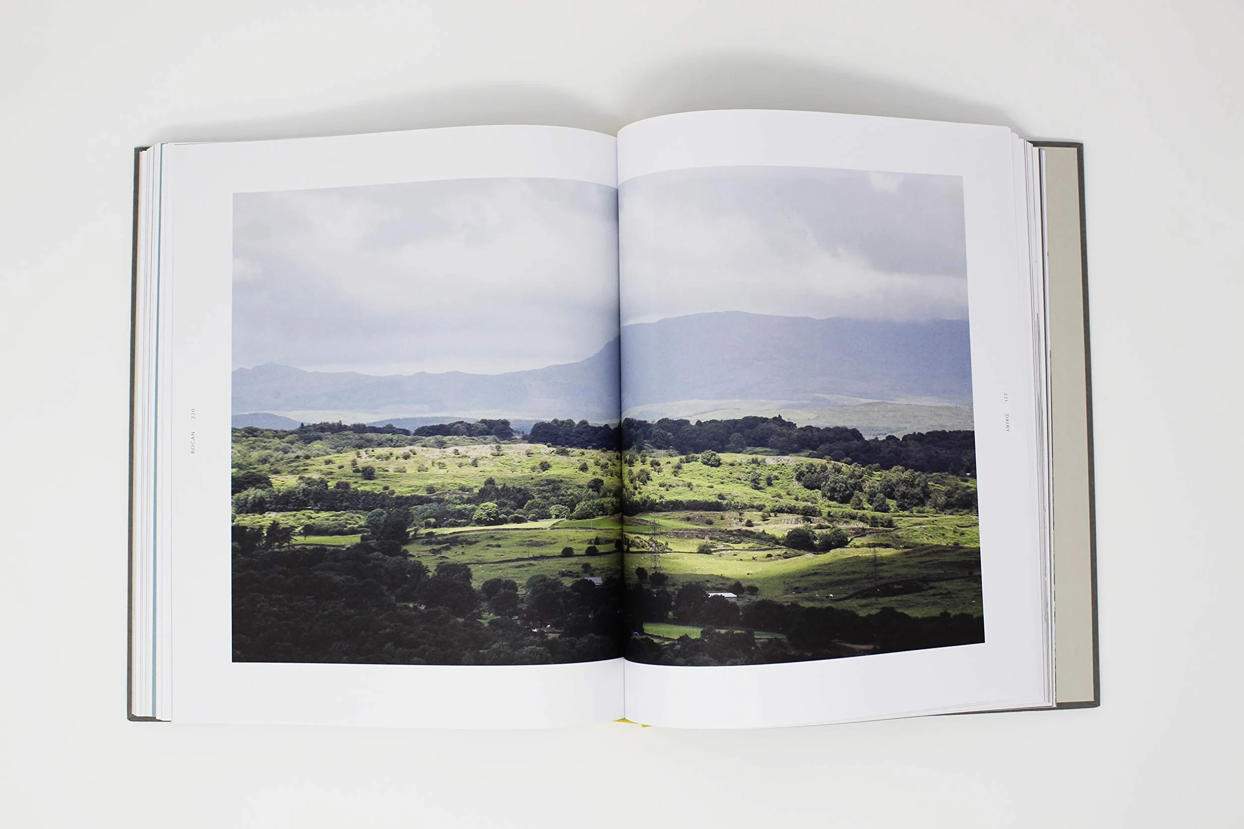 Rogan: A comprehensive cookbook with simple and tasty recipes