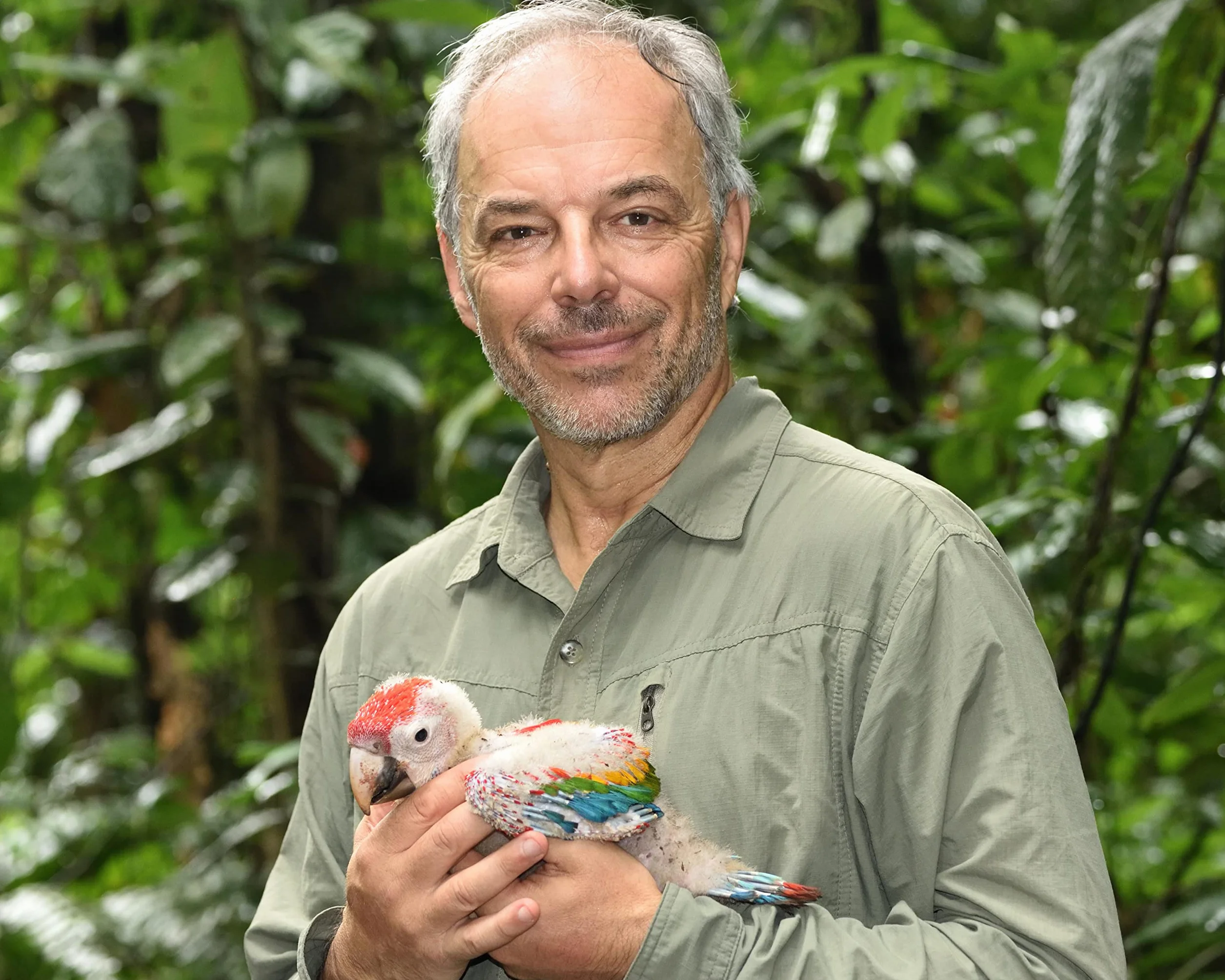 Becoming Wild: How Animals Learn to be Animals