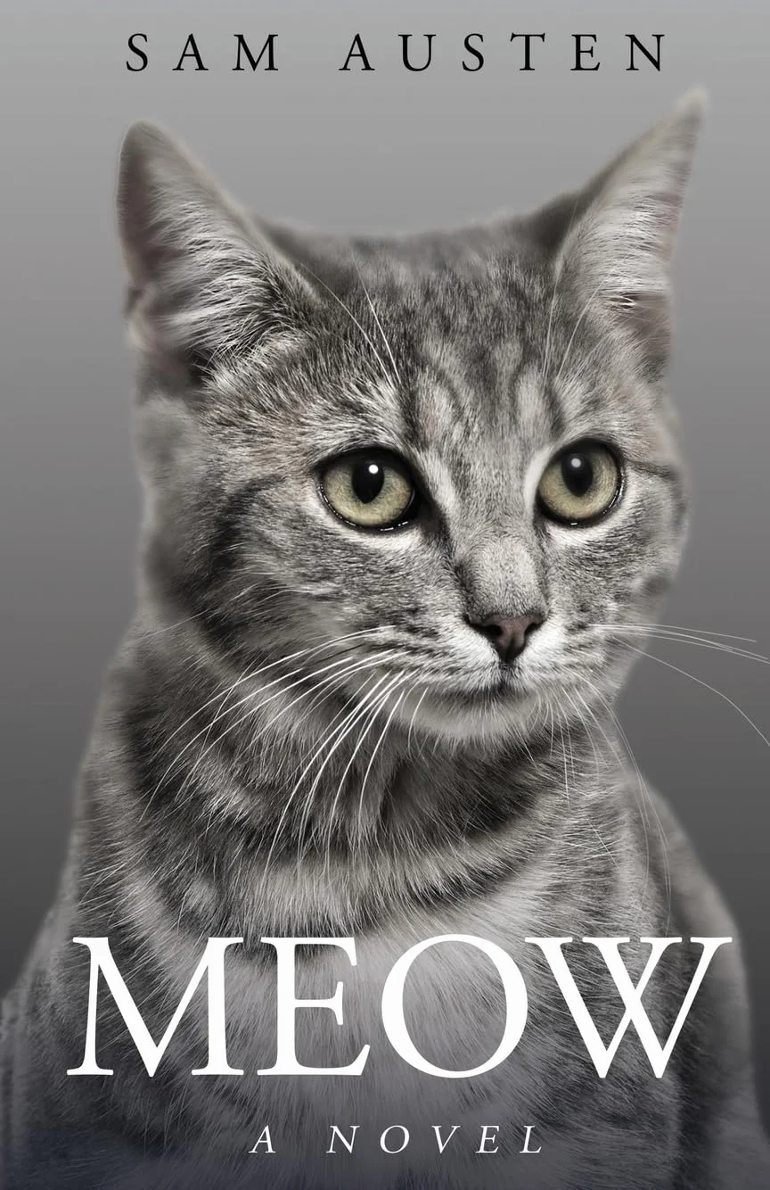 Meow: A Novel