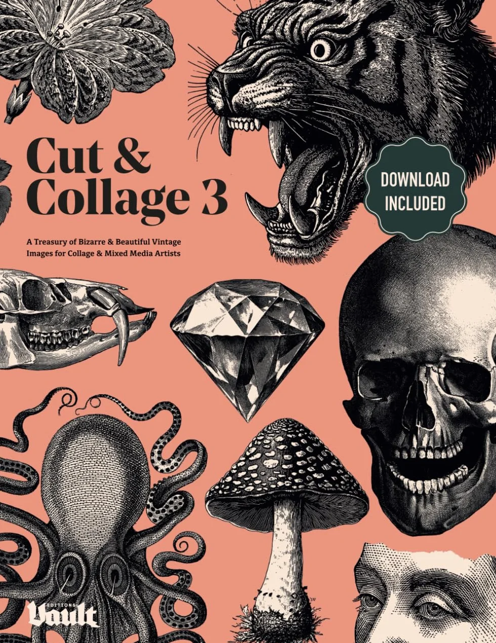 Cut & Collage 3: A Treasury of Bizarre & Beautiful Vintage Images for Collage and Mixed Media Artists