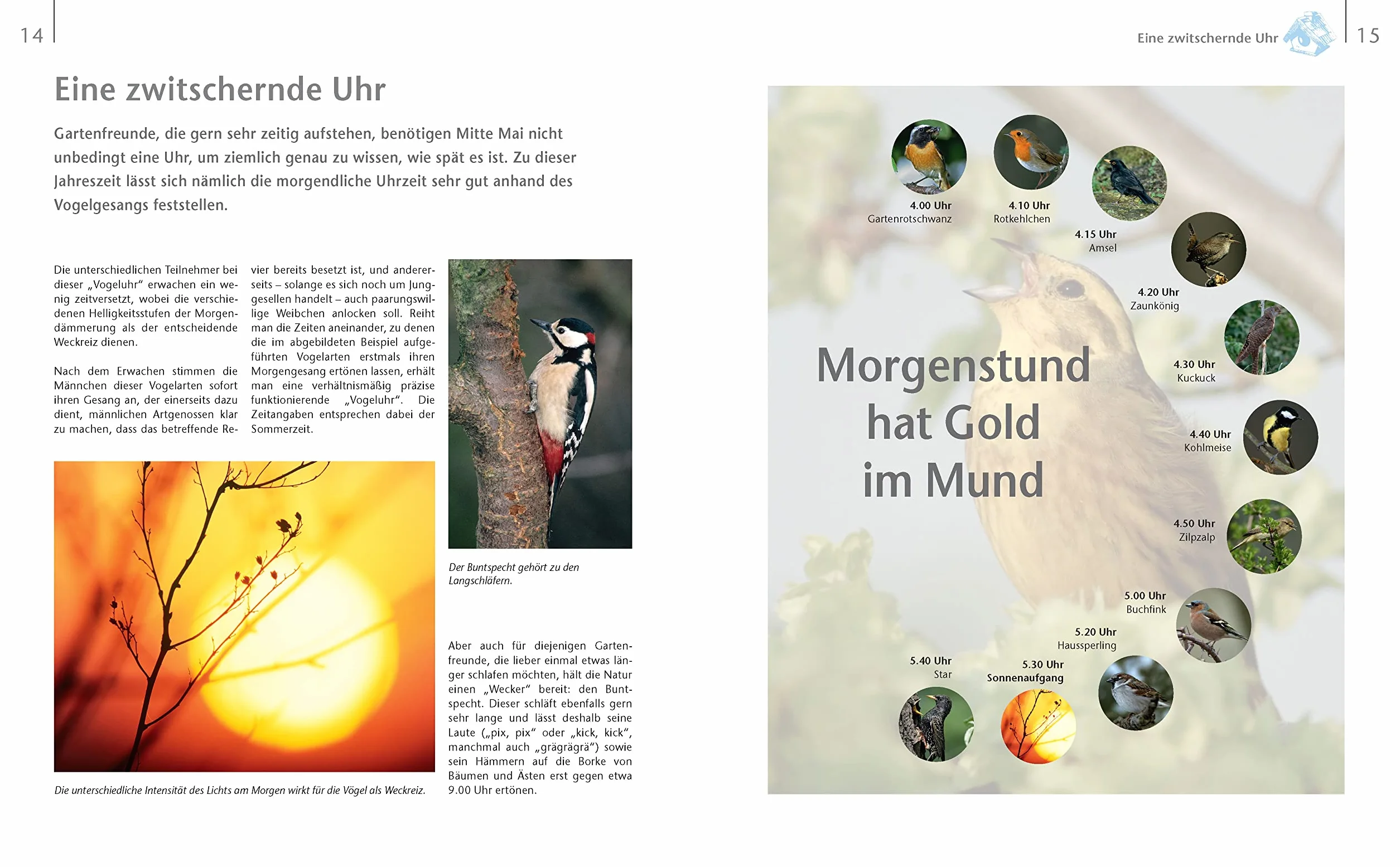 Vögel zu Gast im Garten - Heimische Vögel beobachten, bestimmen, schützen.: Vogelbuch 114 Vogelstimmen per QR-Code zum Download. Geschenk für Vogelfreunde