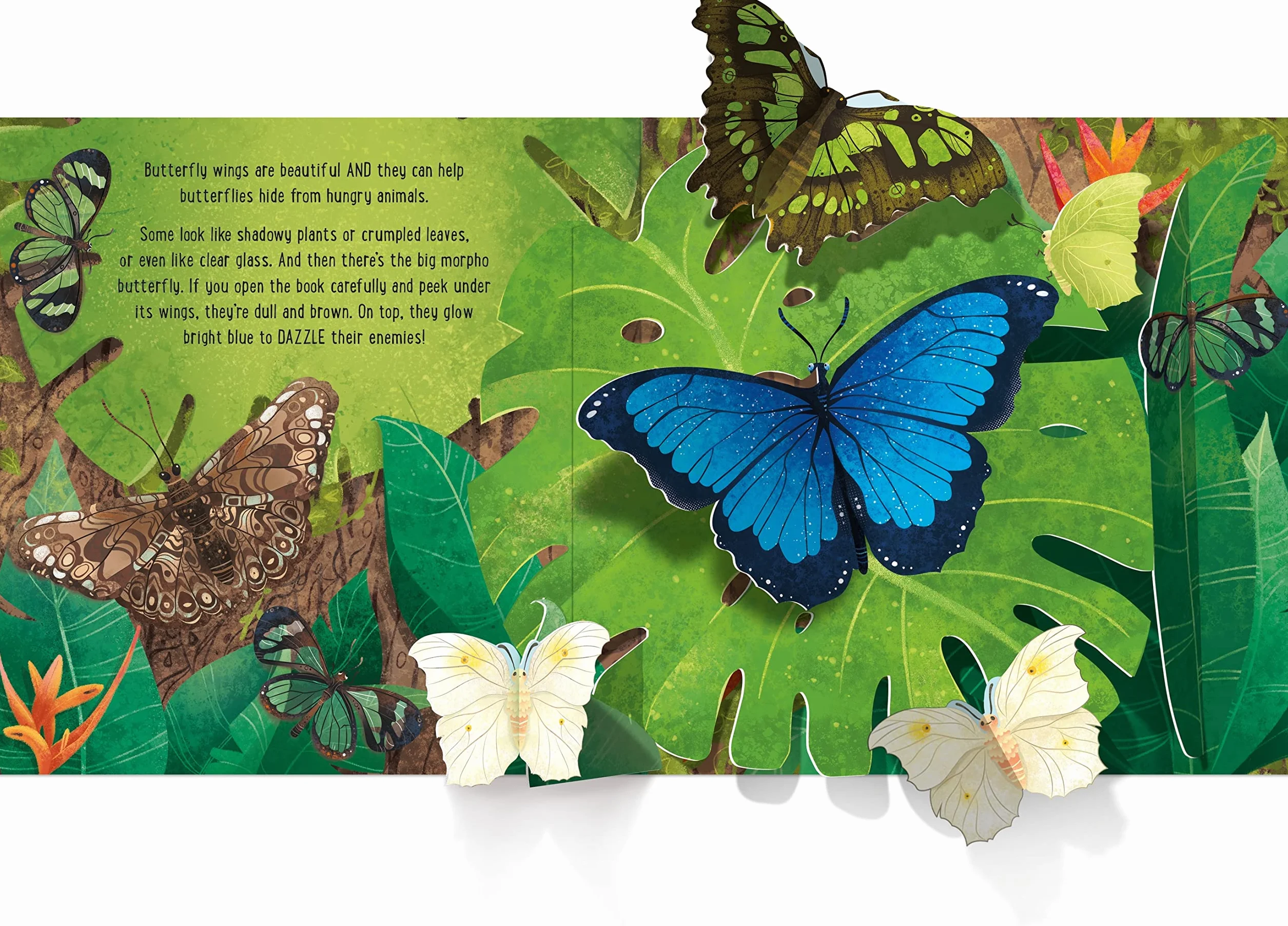 Pop-Up Butterflies (Pop-Ups)