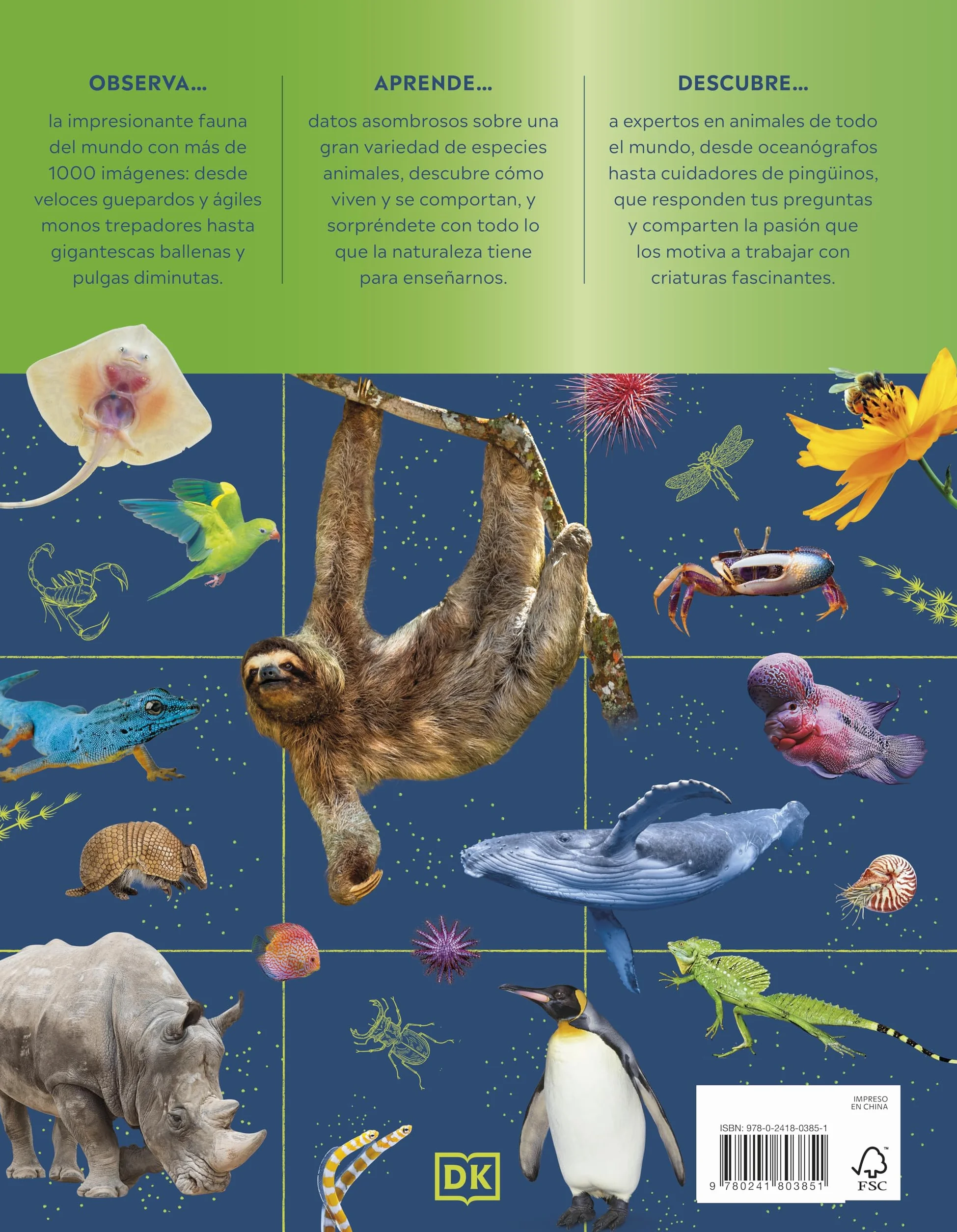 La superenciclopedia de los animales: Invertebrados | Peces | Anfibios | Reptiles | Mamíferos