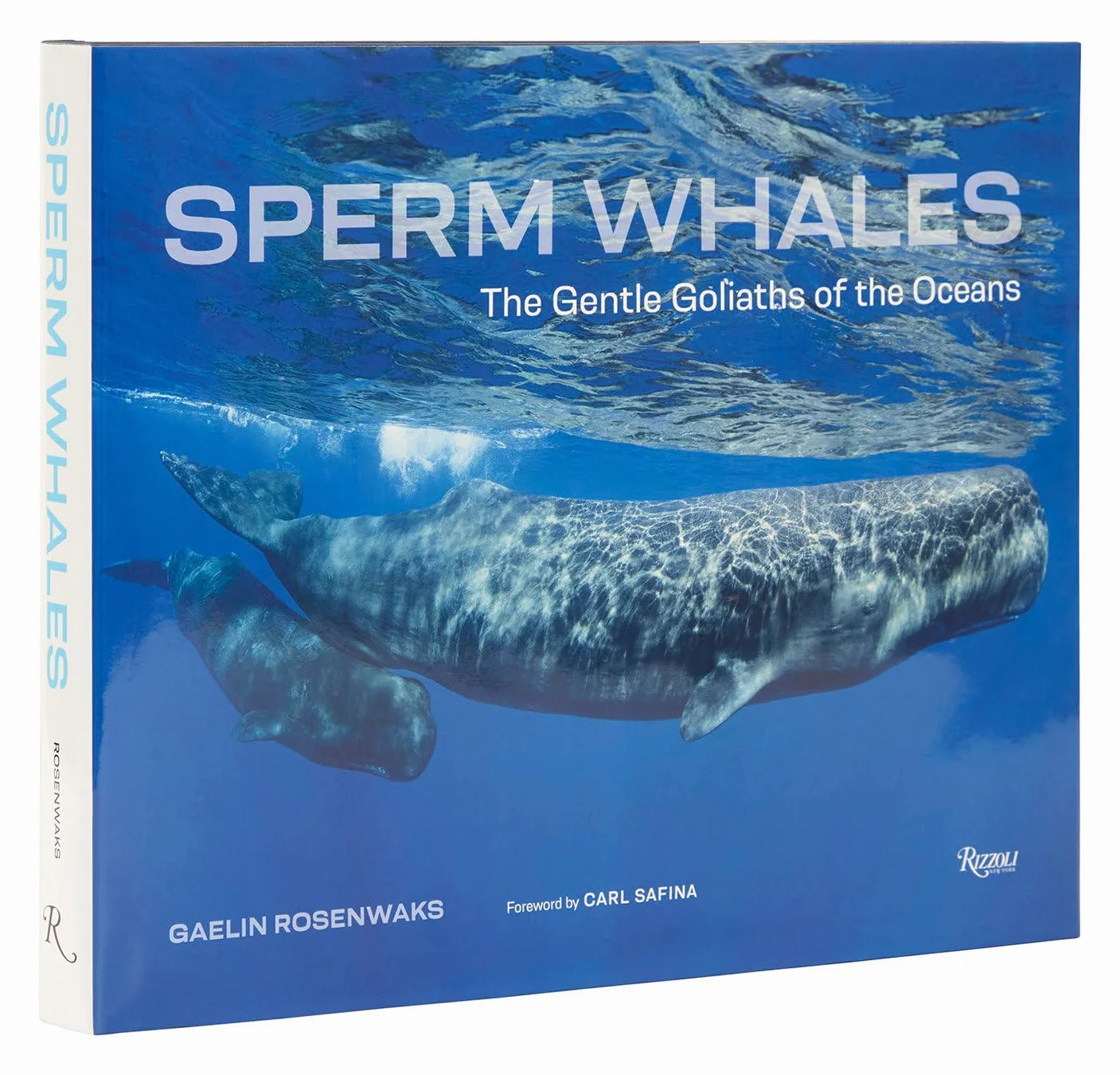 Sperm Whales: The Gentle Goliaths of the Ocean