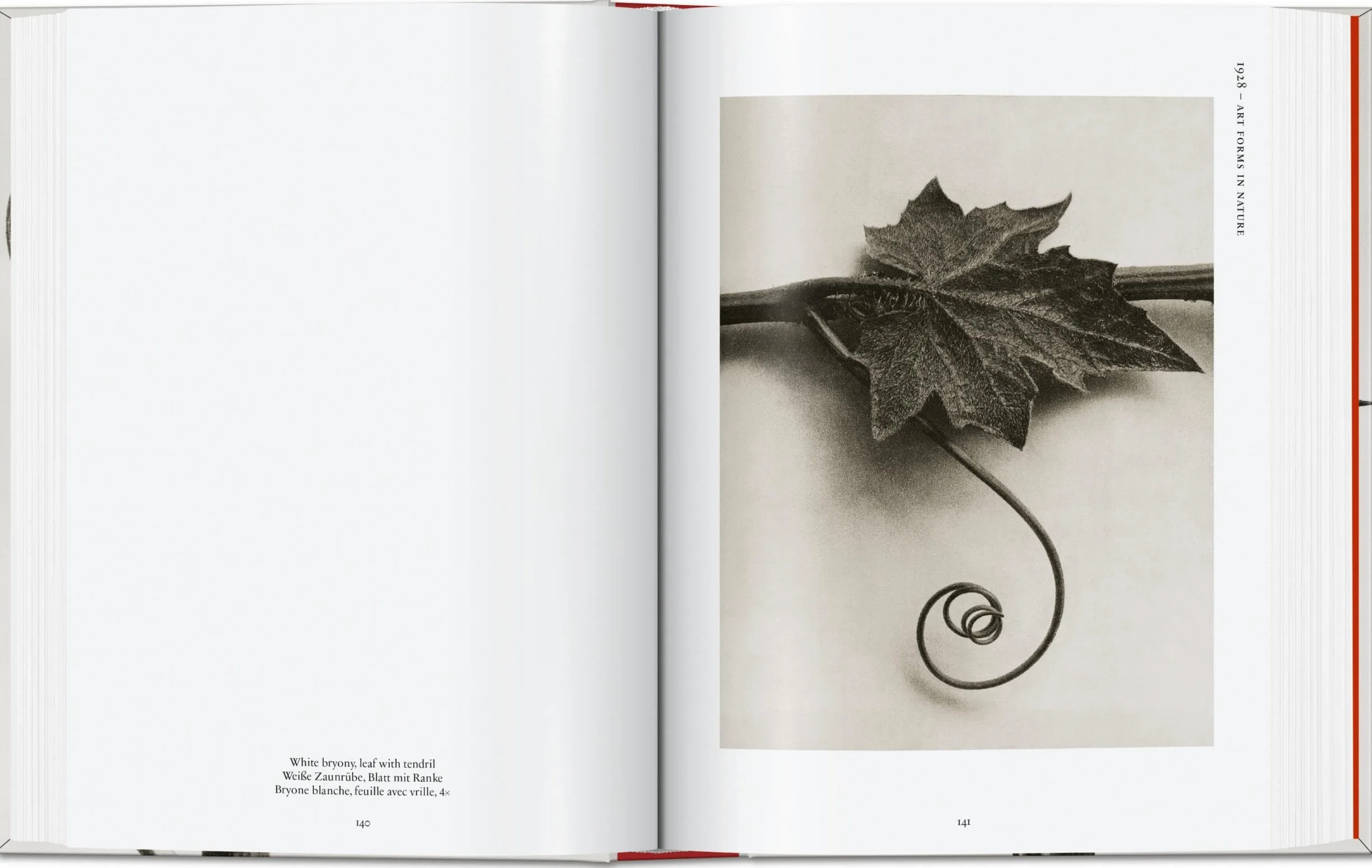 Karl Blossfeldt: The Complete Published Work: The Complete Published Work. 45th Ed.