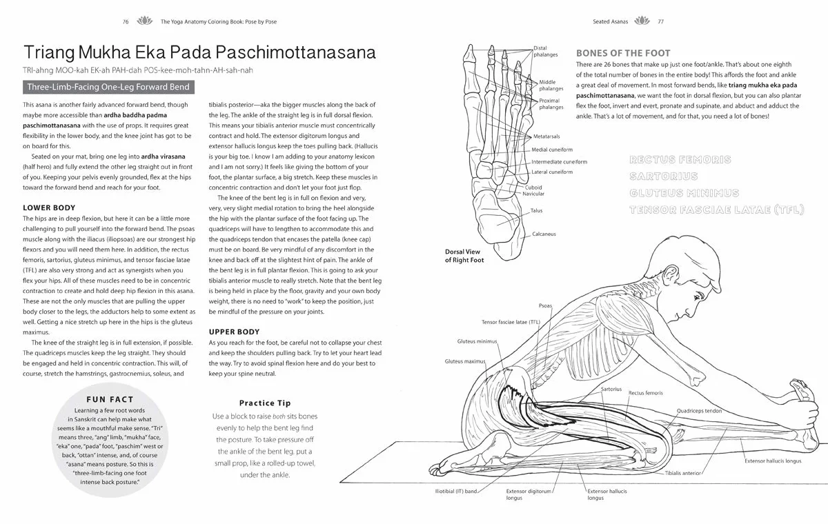 The Yoga Anatomy Coloring Book: Pose by Pose: Learn the Anatomy and Enhance Your Practice - An Educational Anatomy Coloring Book for Yoga Teachers, Medical Students, & Adults (Volume 2)