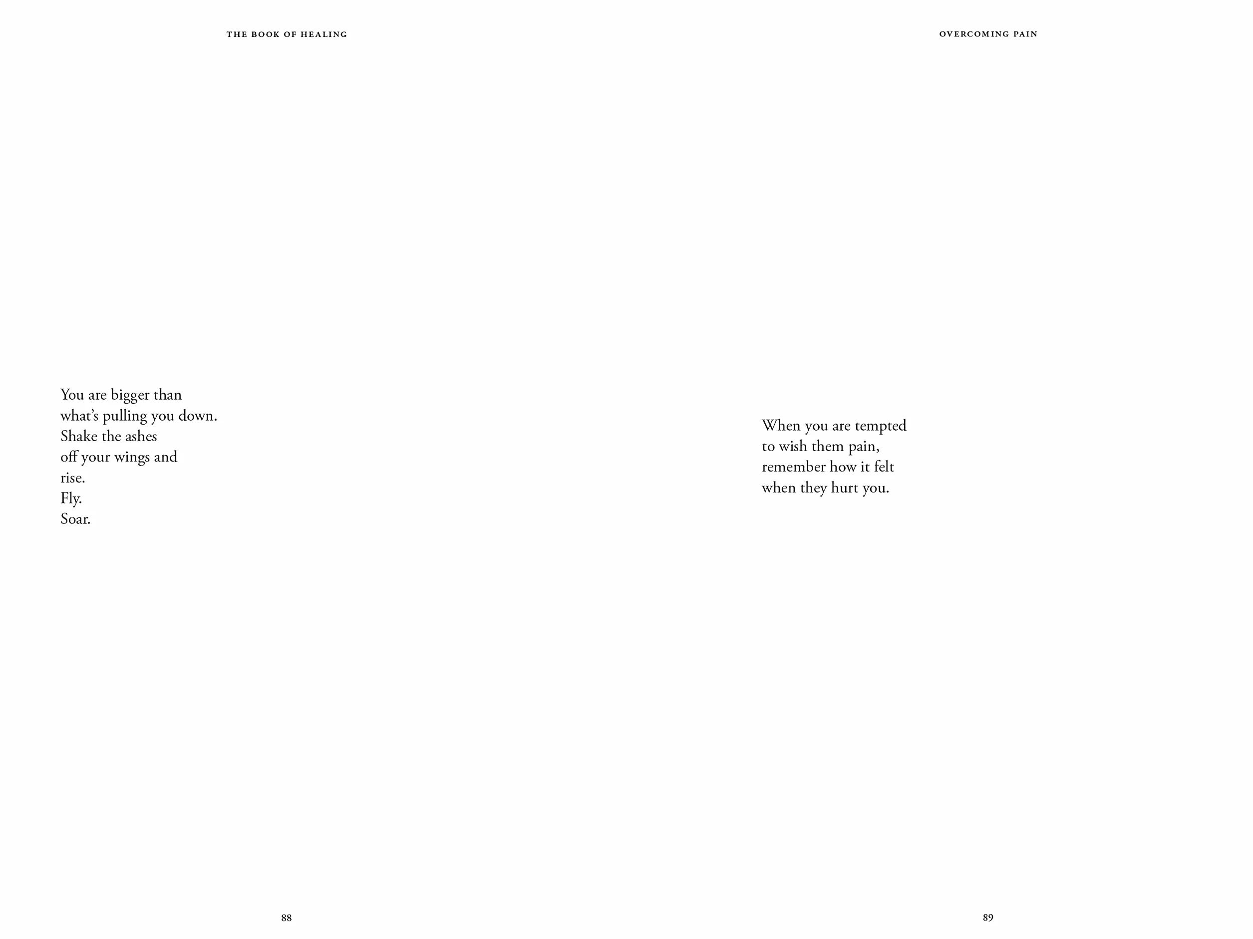 The Book of Healing: Selected Poetry and Prose