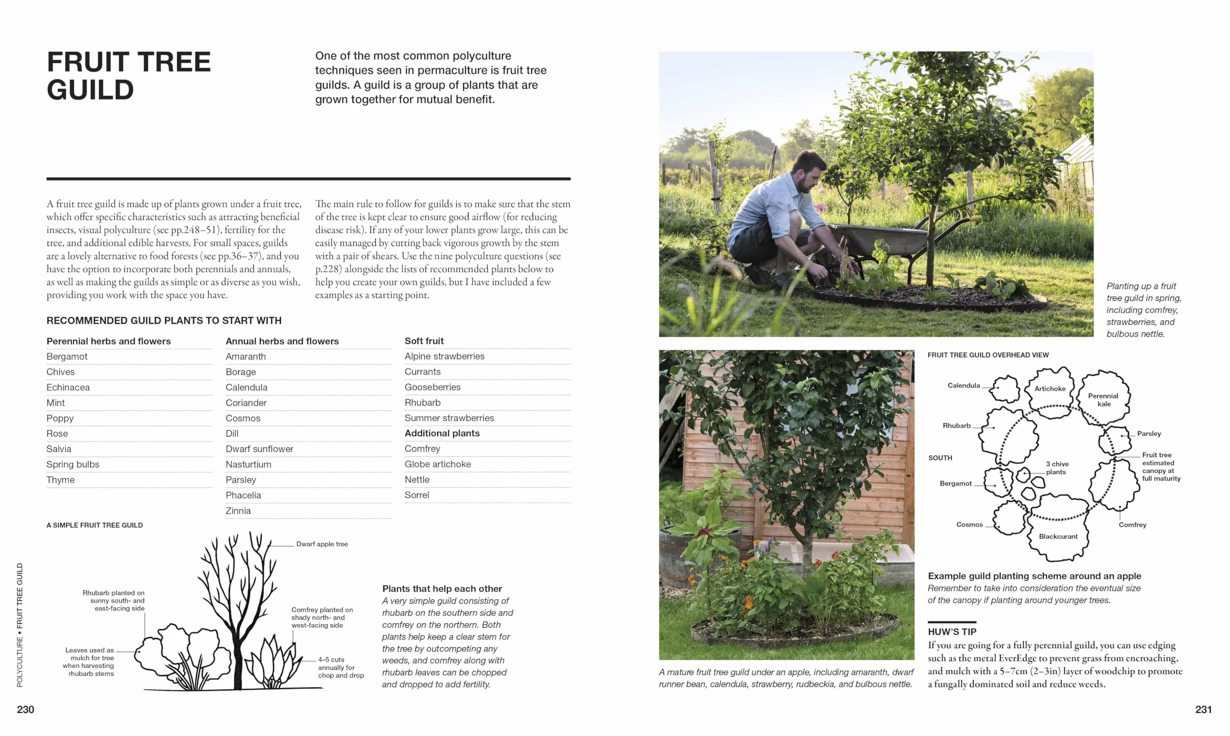 The Permaculture Garden: A Practical Approach to Year-round Harvests