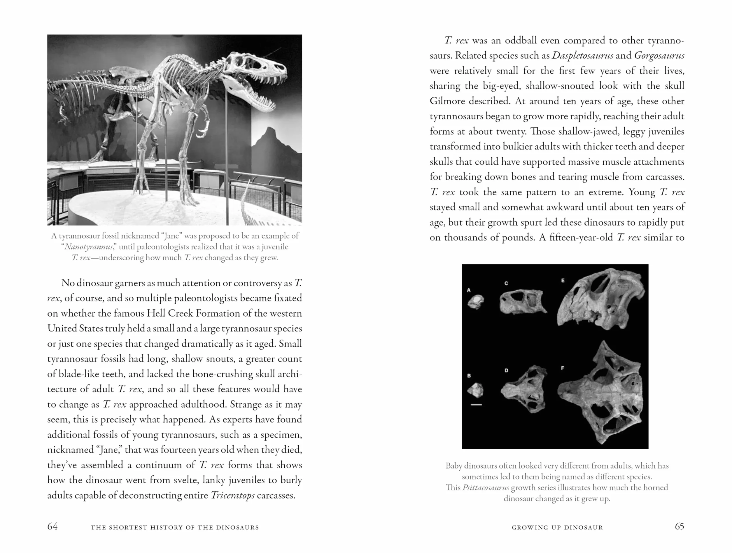 The Shortest History of the Dinosaurs: The 230-Million-Year Story of Their Time on Earth: 0