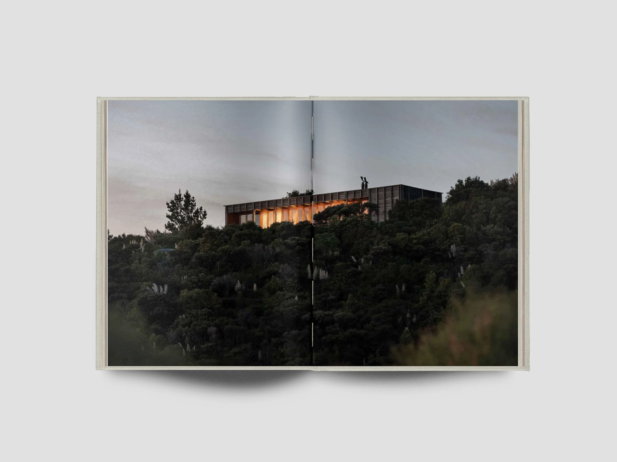 The Local Project: Book 10