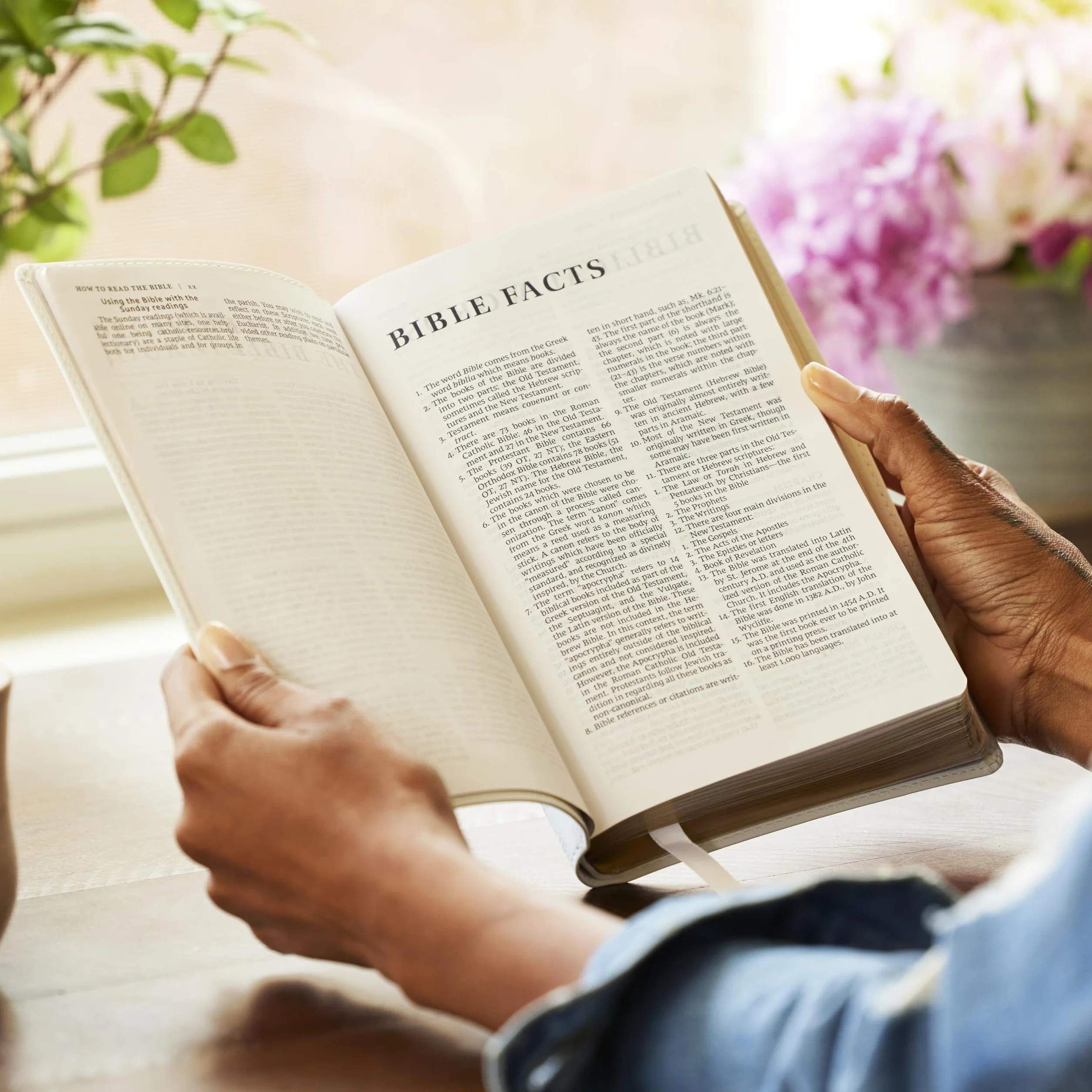 Nrsv, Catholic Bible, Gift Edition, Leathersoft, Black, Comfort Print: Holy Bible