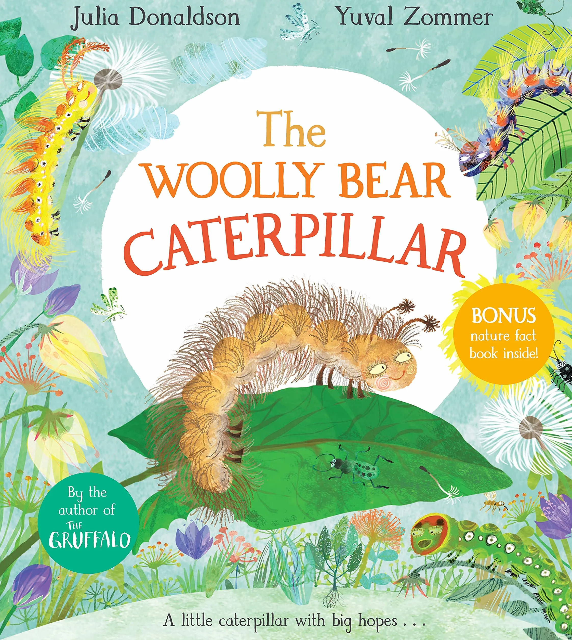 The Woolly Bear Caterpillar