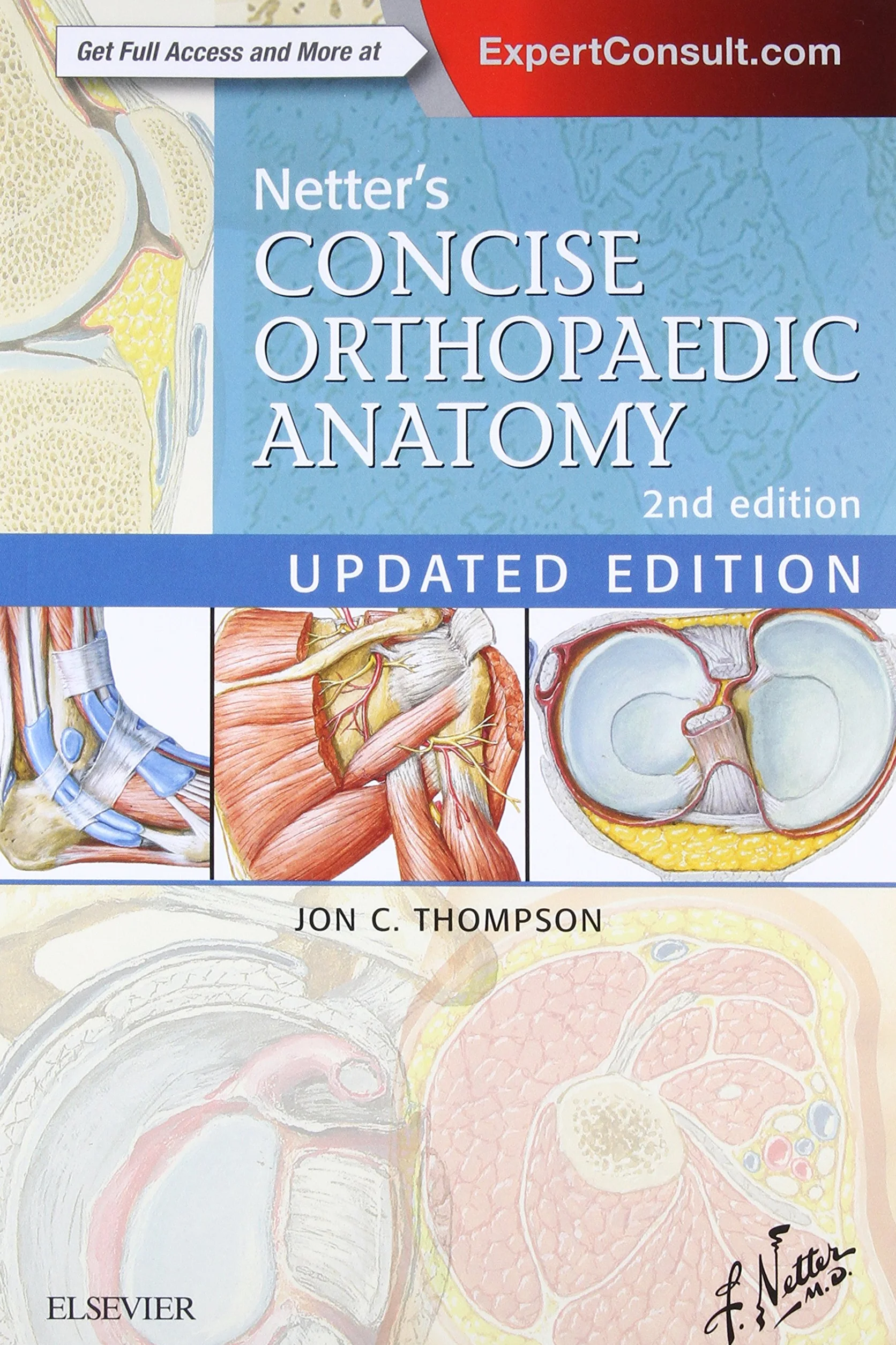 Netter's Concise Orthopaedic Anatomy, Updated Edition