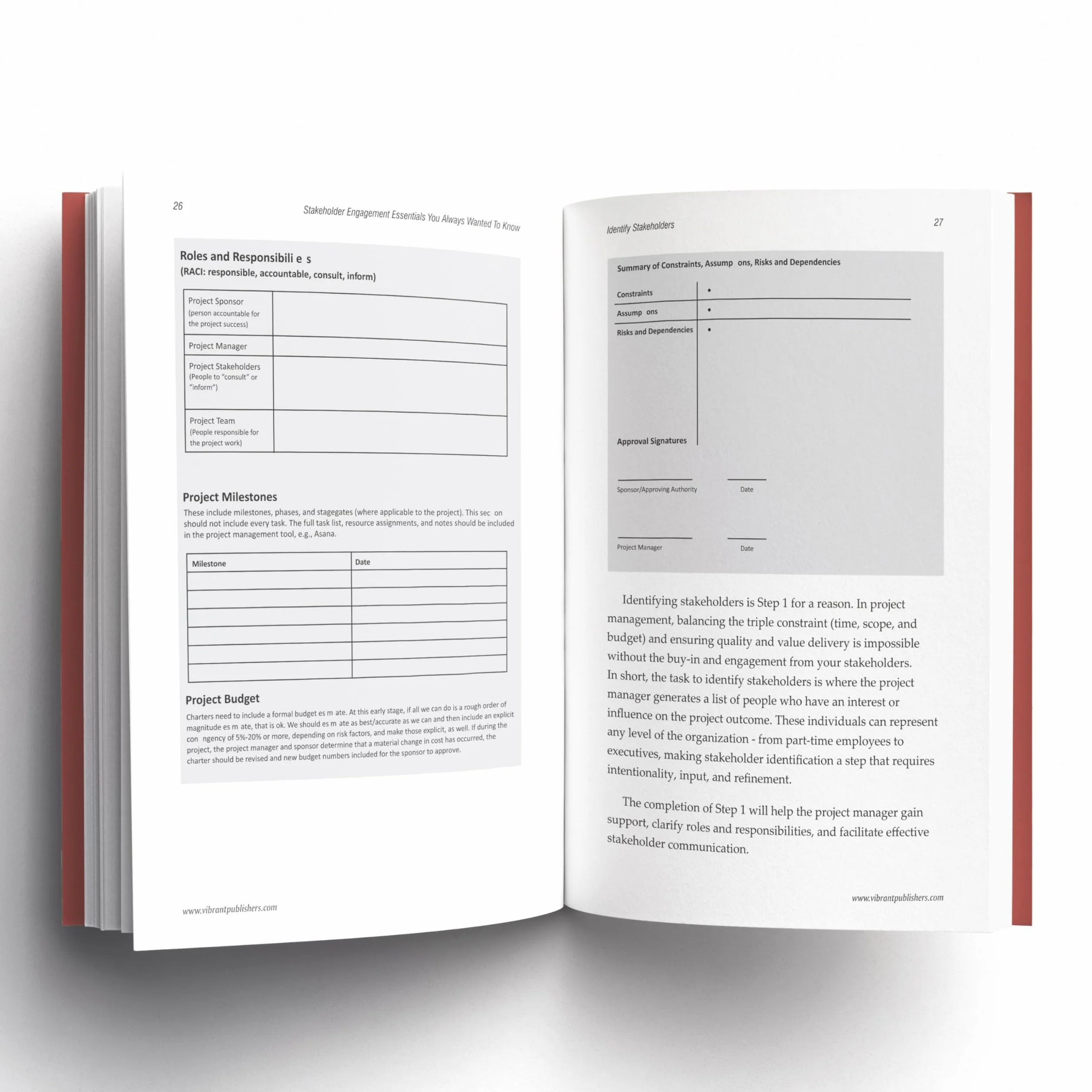 Stakeholder Engagement Essentials You Always Wanted To Know: A Practical Guide to Stakeholder Mapping, Engagement Plans, and Managing Project Stakeholders