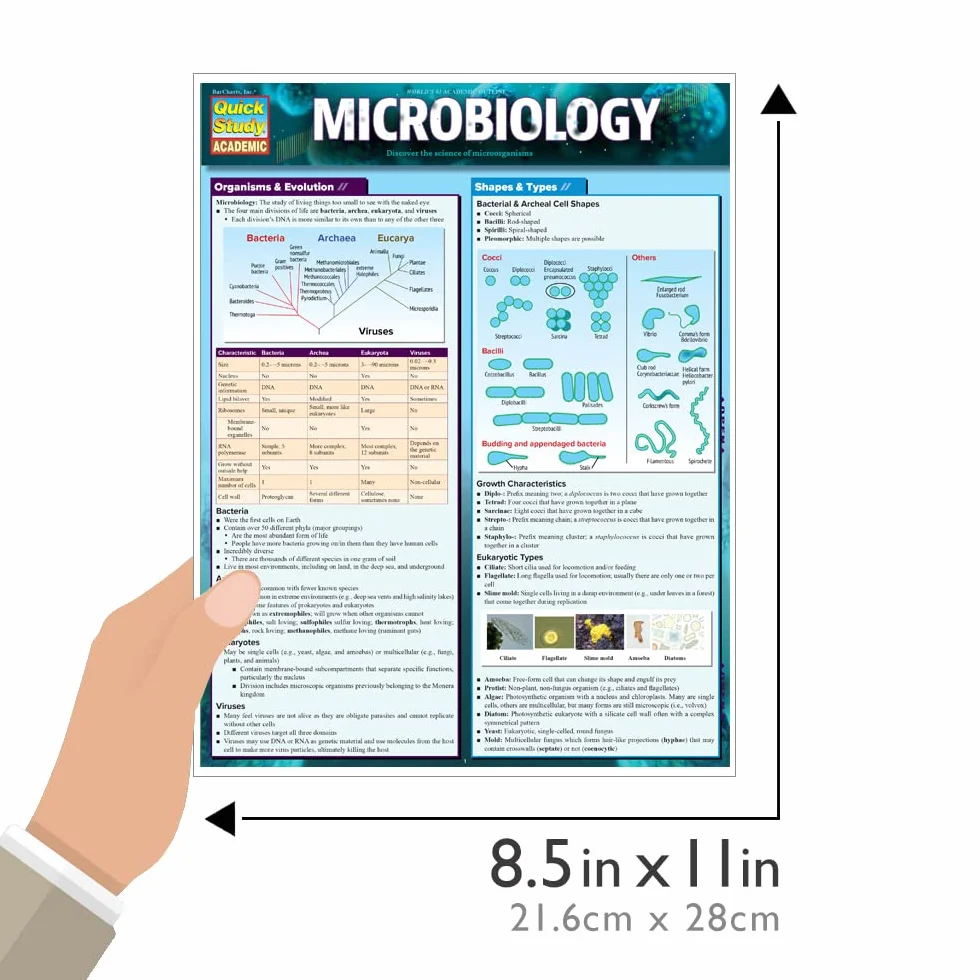 Microbiology