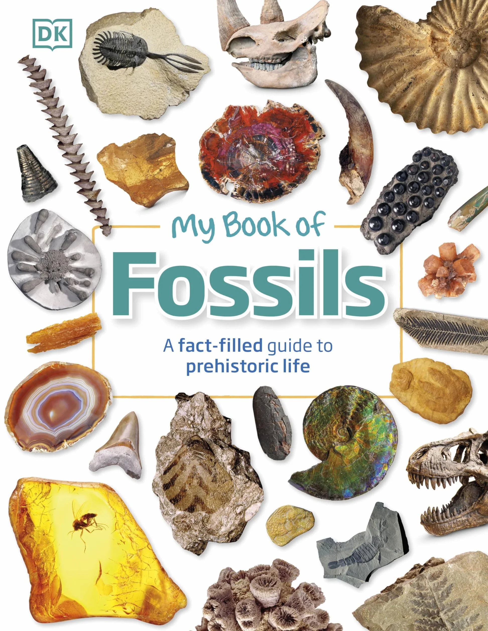 My Book of Fossils: A fact-filled guide to prehistoric life