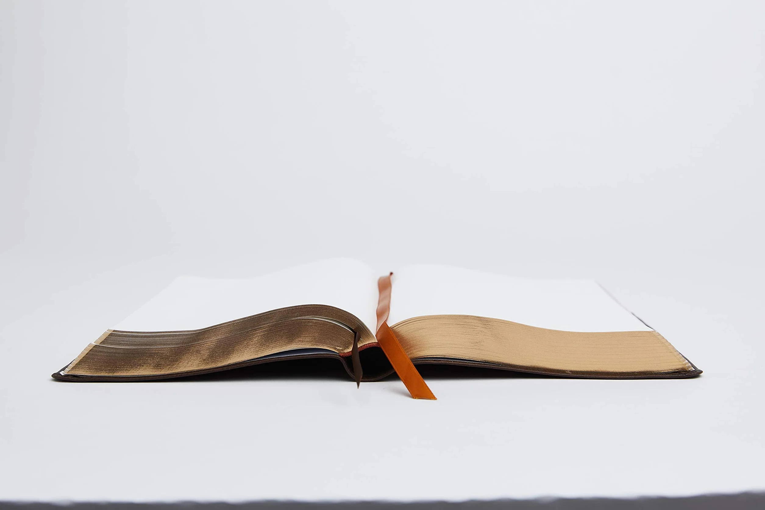 Nrsv, Catholic Bible, Journal Edition, Leathersoft, Brown, Comfort Print: Holy Bible