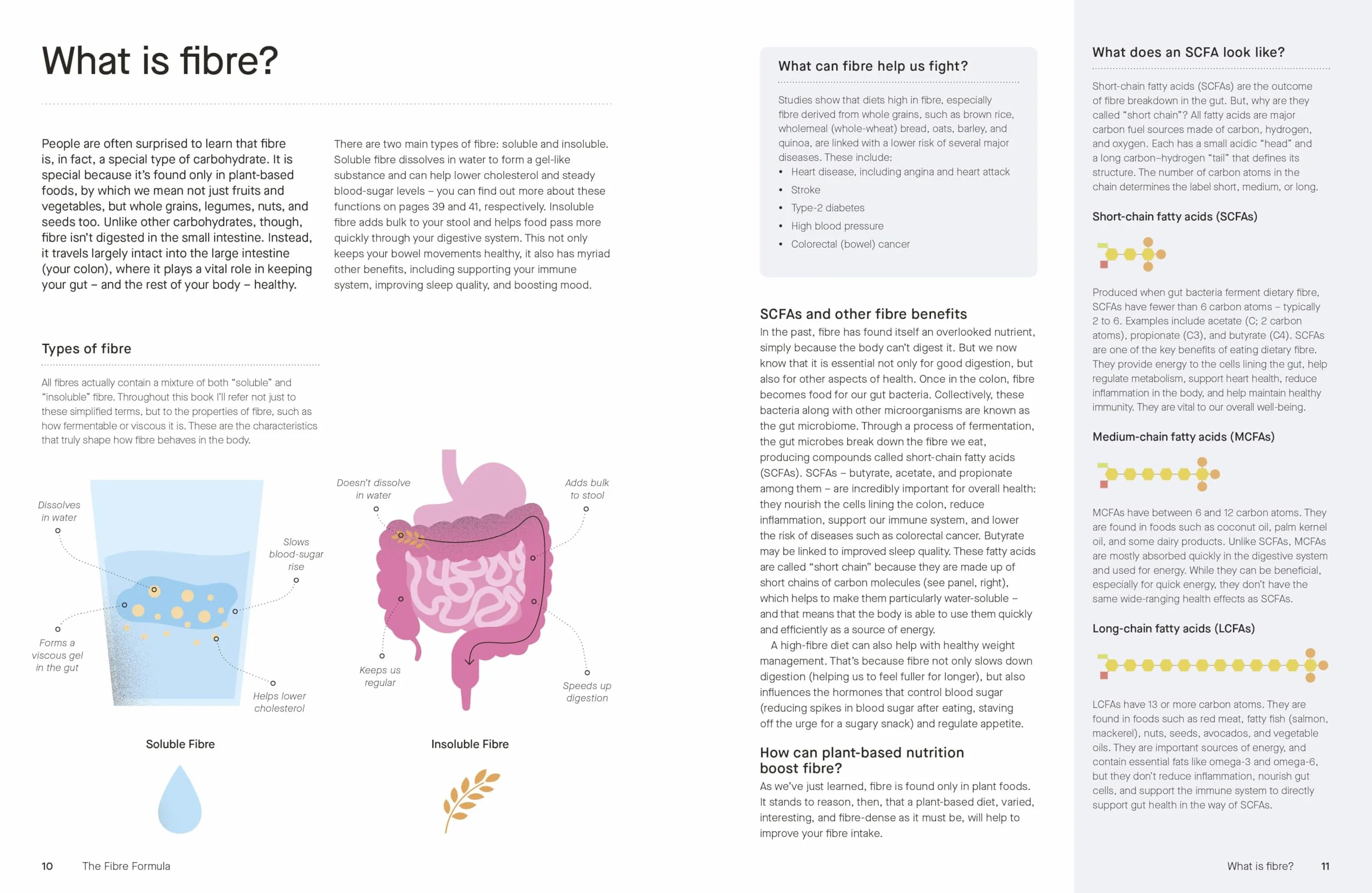 The Fibre Formula: Feed Your Gut, Support Immunity & Live Well for Longer