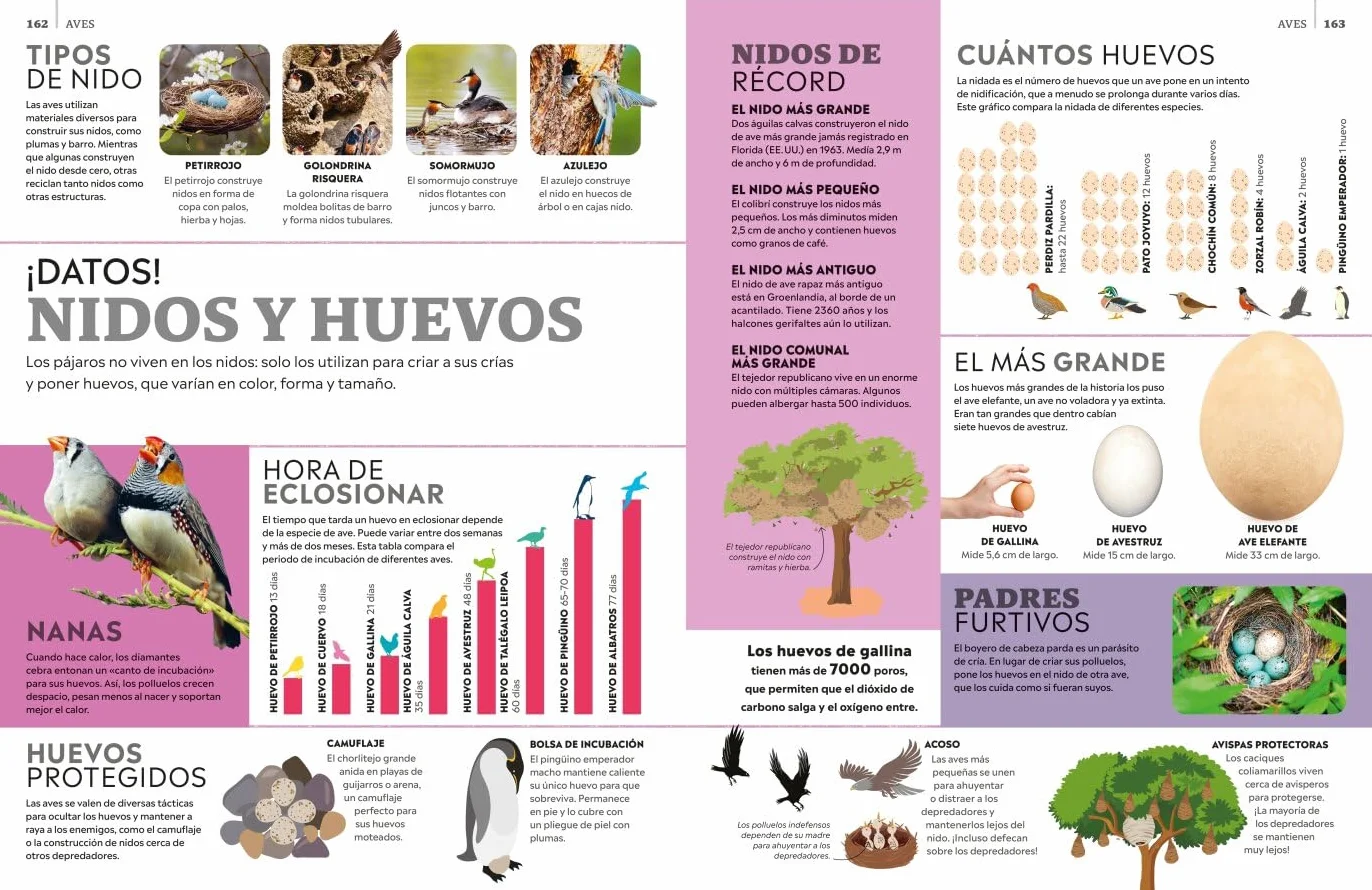 La superenciclopedia de los animales: Invertebrados | Peces | Anfibios | Reptiles | Mamíferos