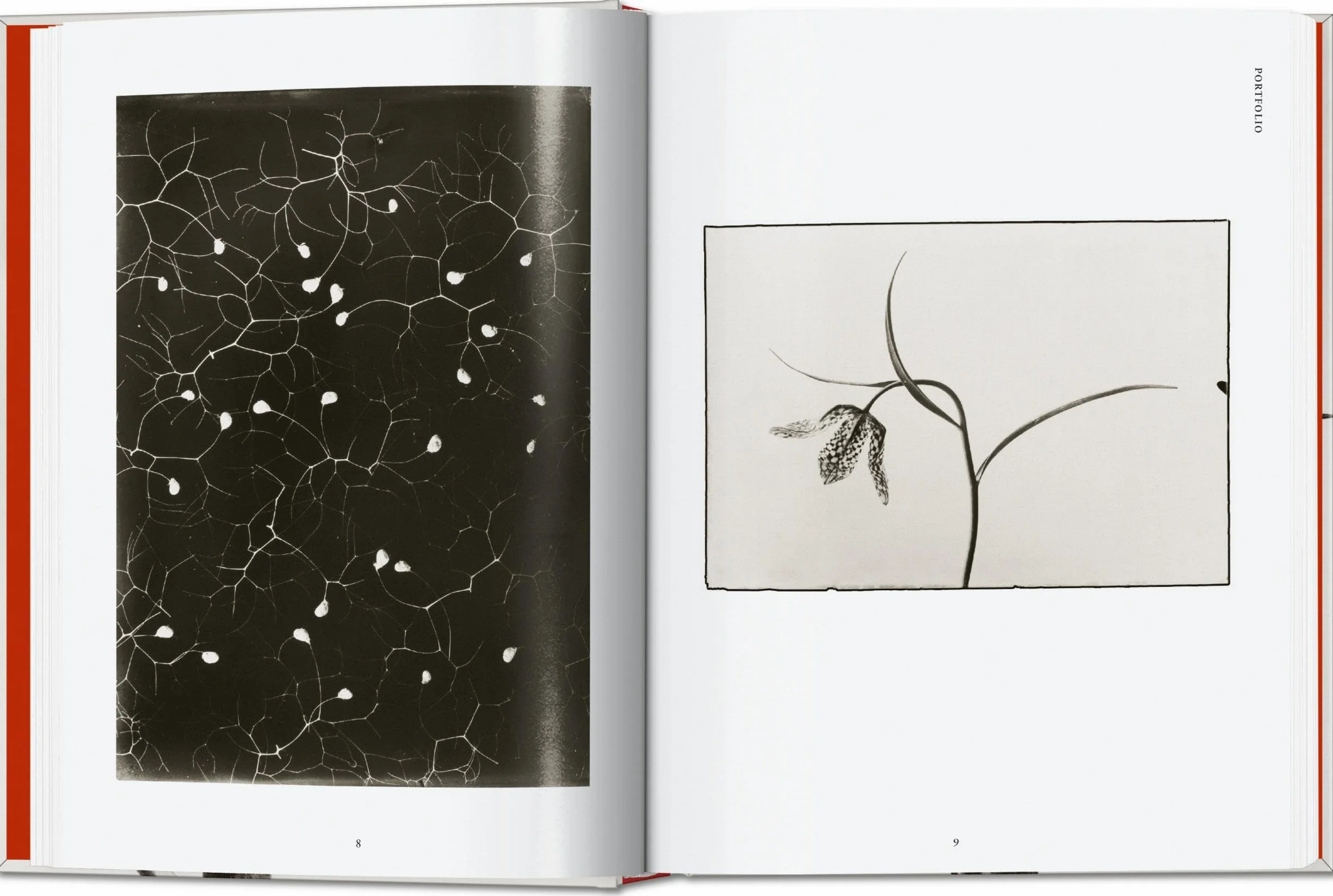 Karl Blossfeldt: The Complete Published Work: The Complete Published Work. 45th Ed.