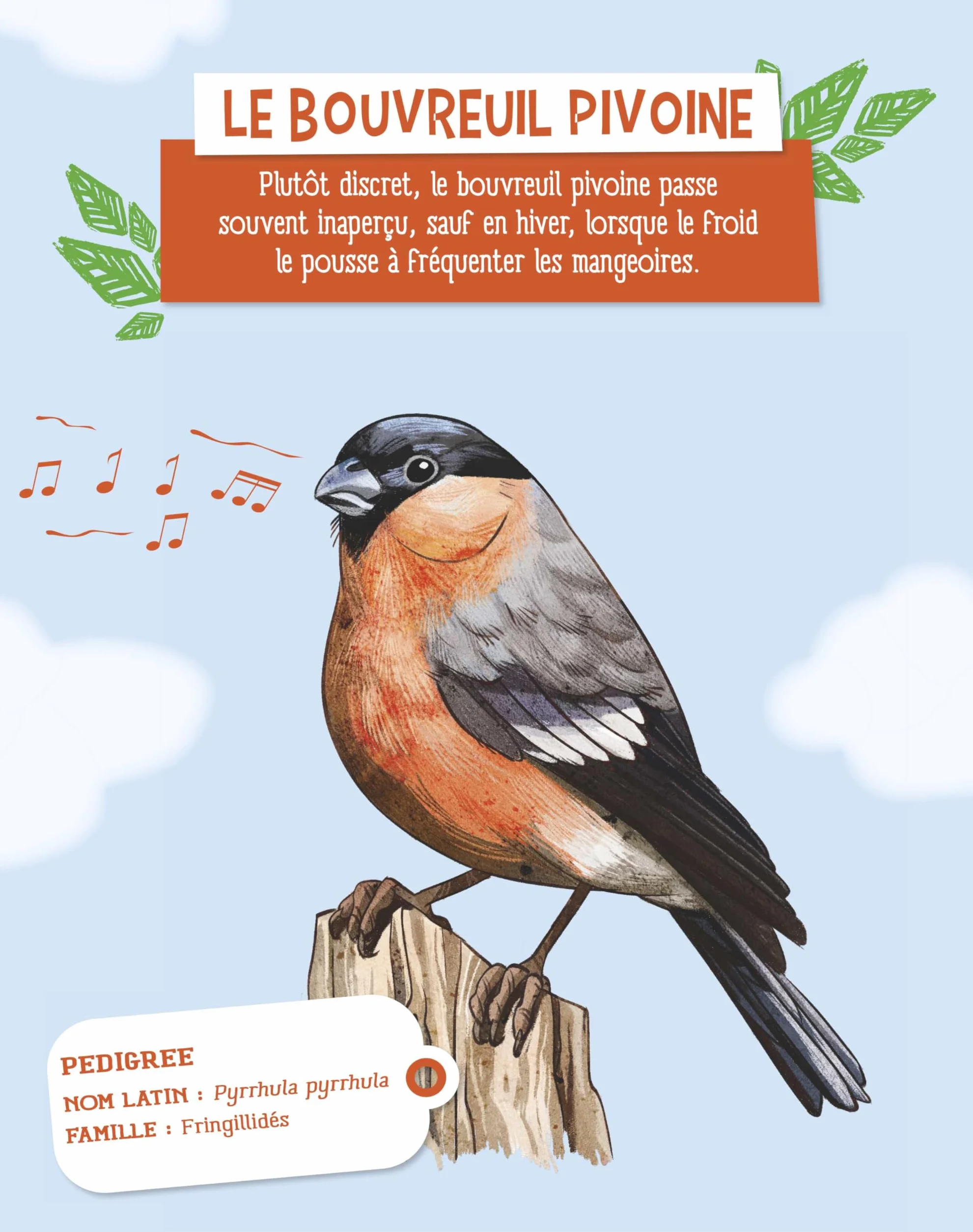 A l'écoute des oiseaux de mon jardin: 21 chants à découvrir
