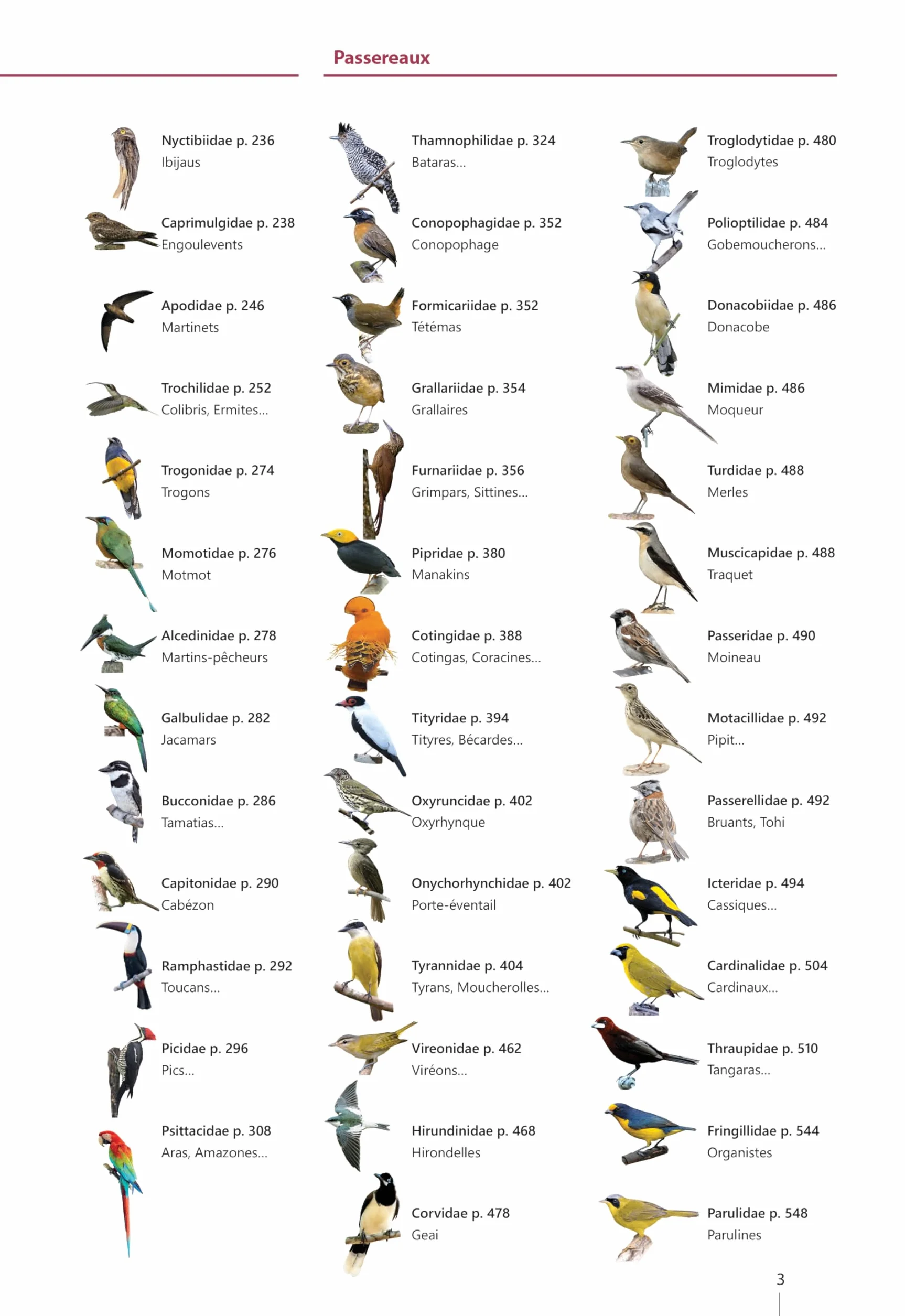 Guide expert des oiseaux de Guyane: Manuel d'identification