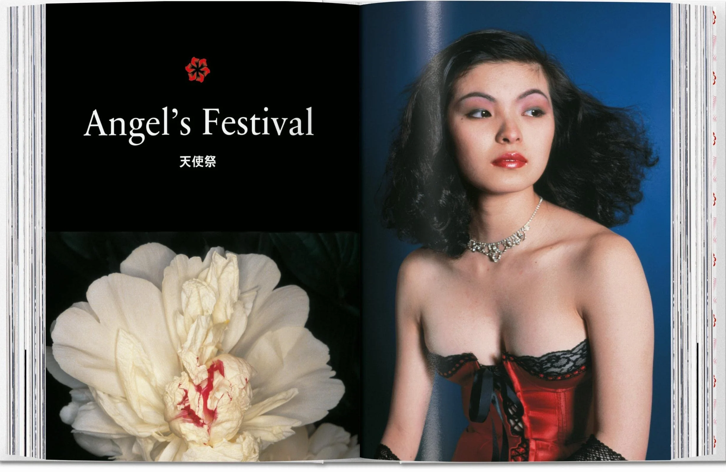 Nobuyoshi Araki: (40th Anniversary Edition): 45th Ed.