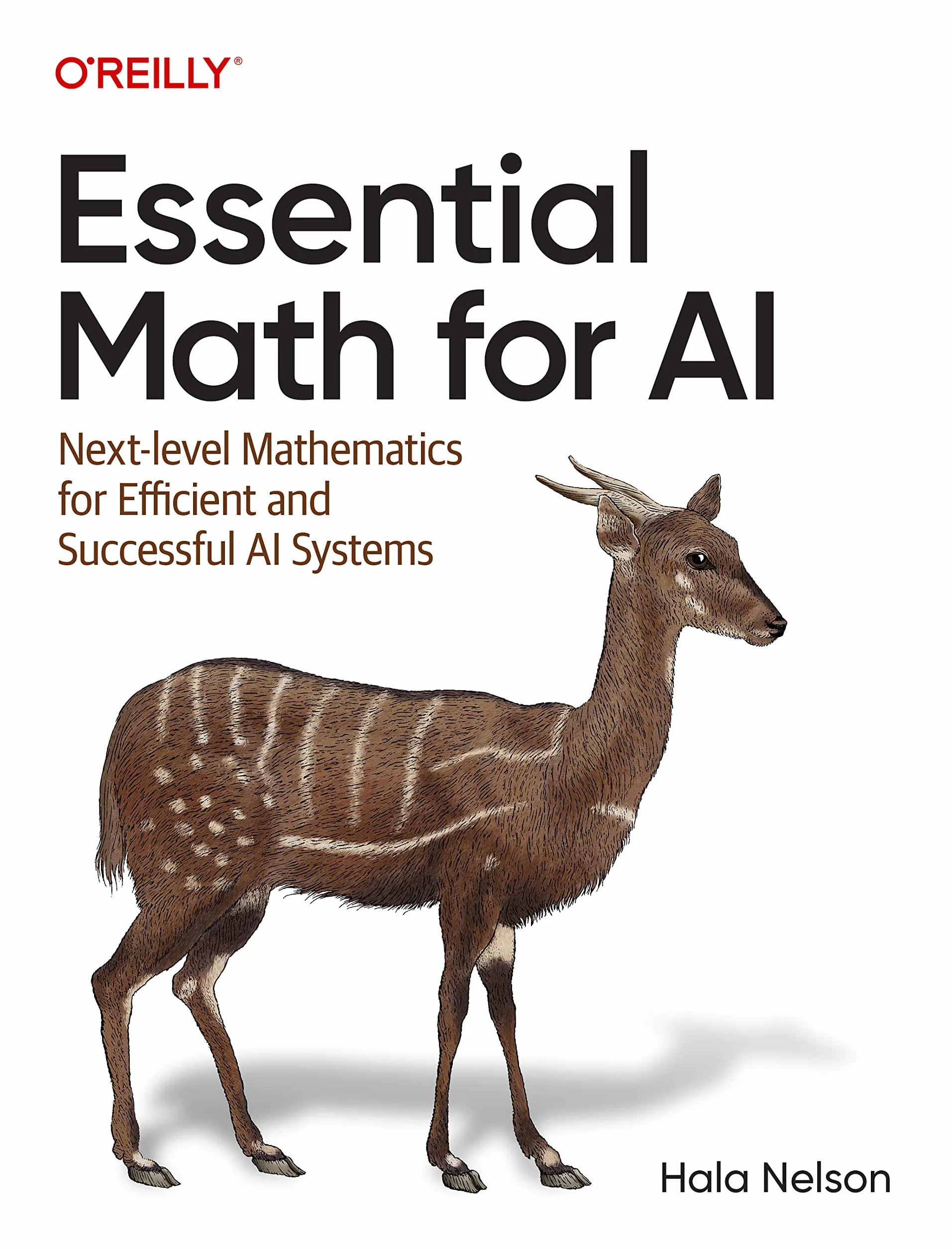 Essential Math for AI: Next-Level Mathematics for Efficient and Successful AI Systems