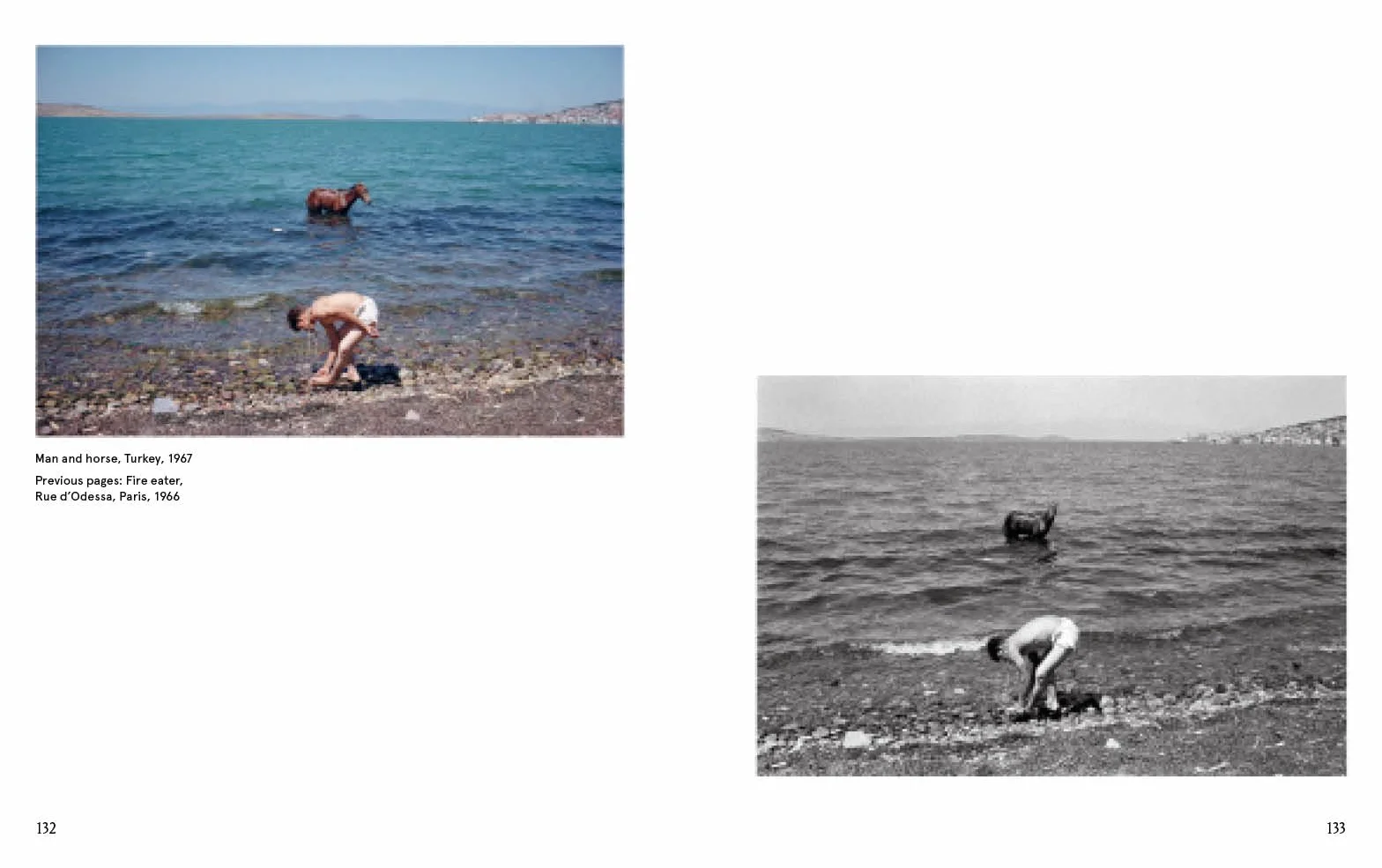 Joel Meyerowitz : A Question of Colour /anglais