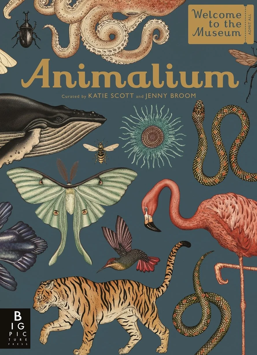 Animalium: by Jenny Broom and illustrator Katie Scott
