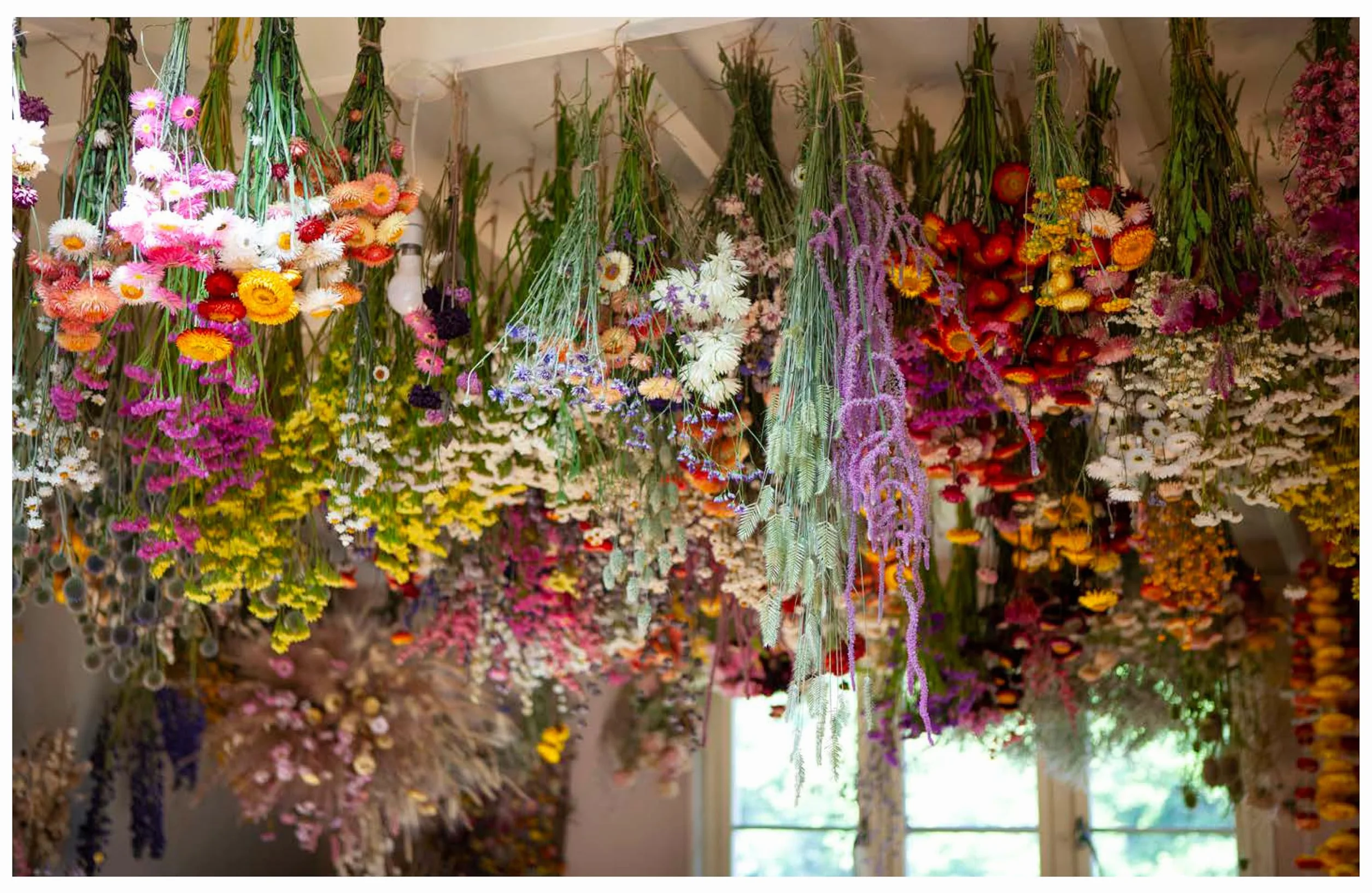 Everlasting Blooms: 30 Floristry Projects to Bring the Magic of Dried Flowers Into Your Home
