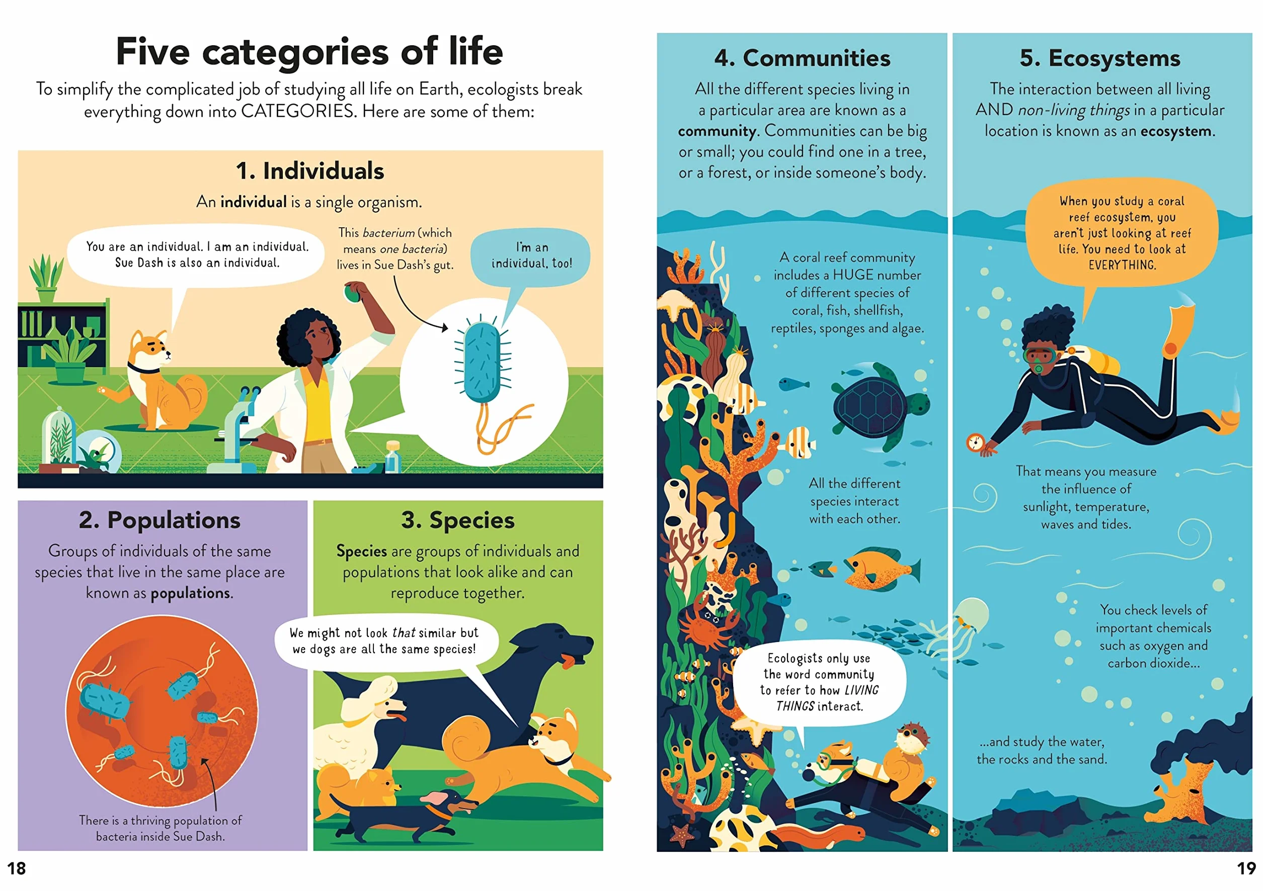 Ecology for Beginners