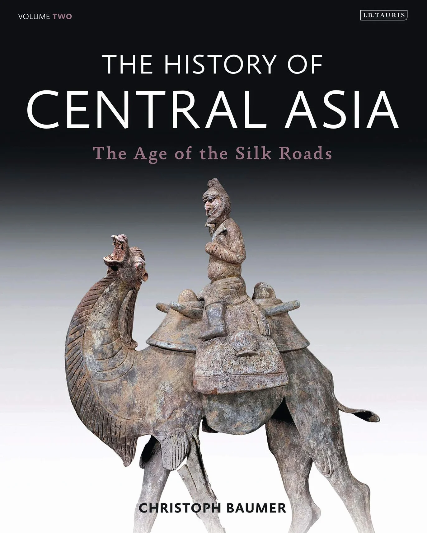The History of Central Asia: The Age of the Silk Roads: 2