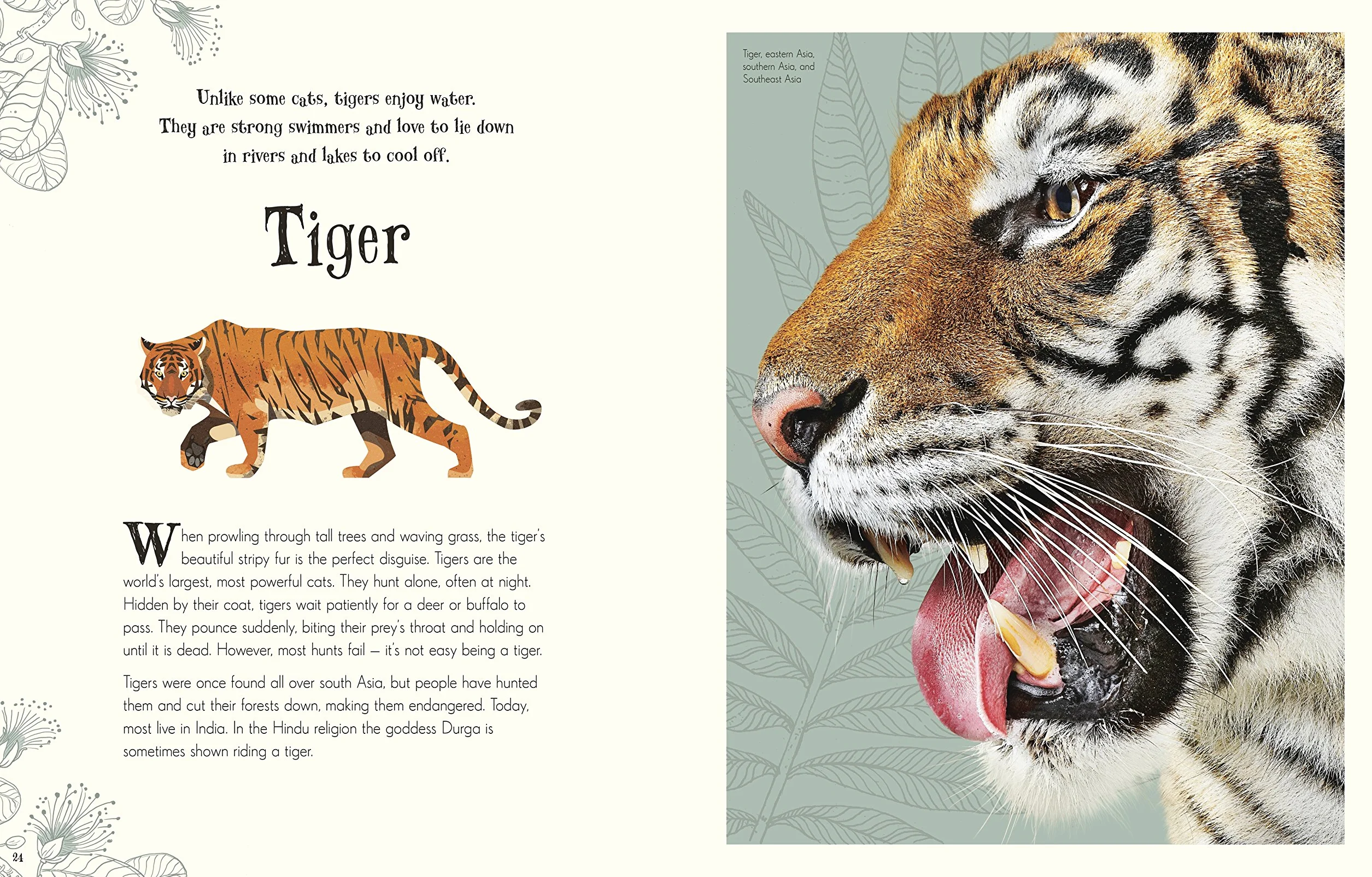 An Anthology of Intriguing Animals (DK Children's Anthologies): Discover the Fascinating Truths of the Animal Kingdom