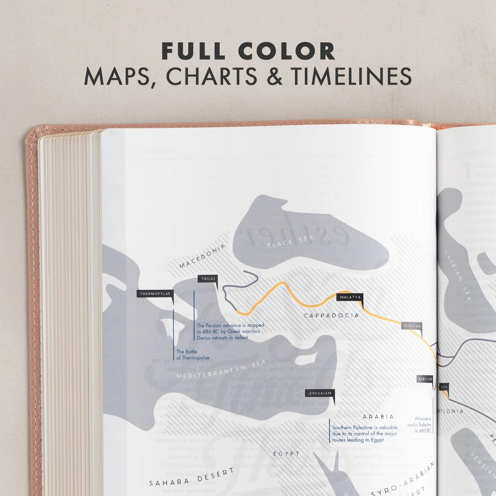 CSB She Reads Truth Bible, Rose Gold Leathertouch: Notetaking Space, Devotionals, Reading Plans, Easy-To-Read Font