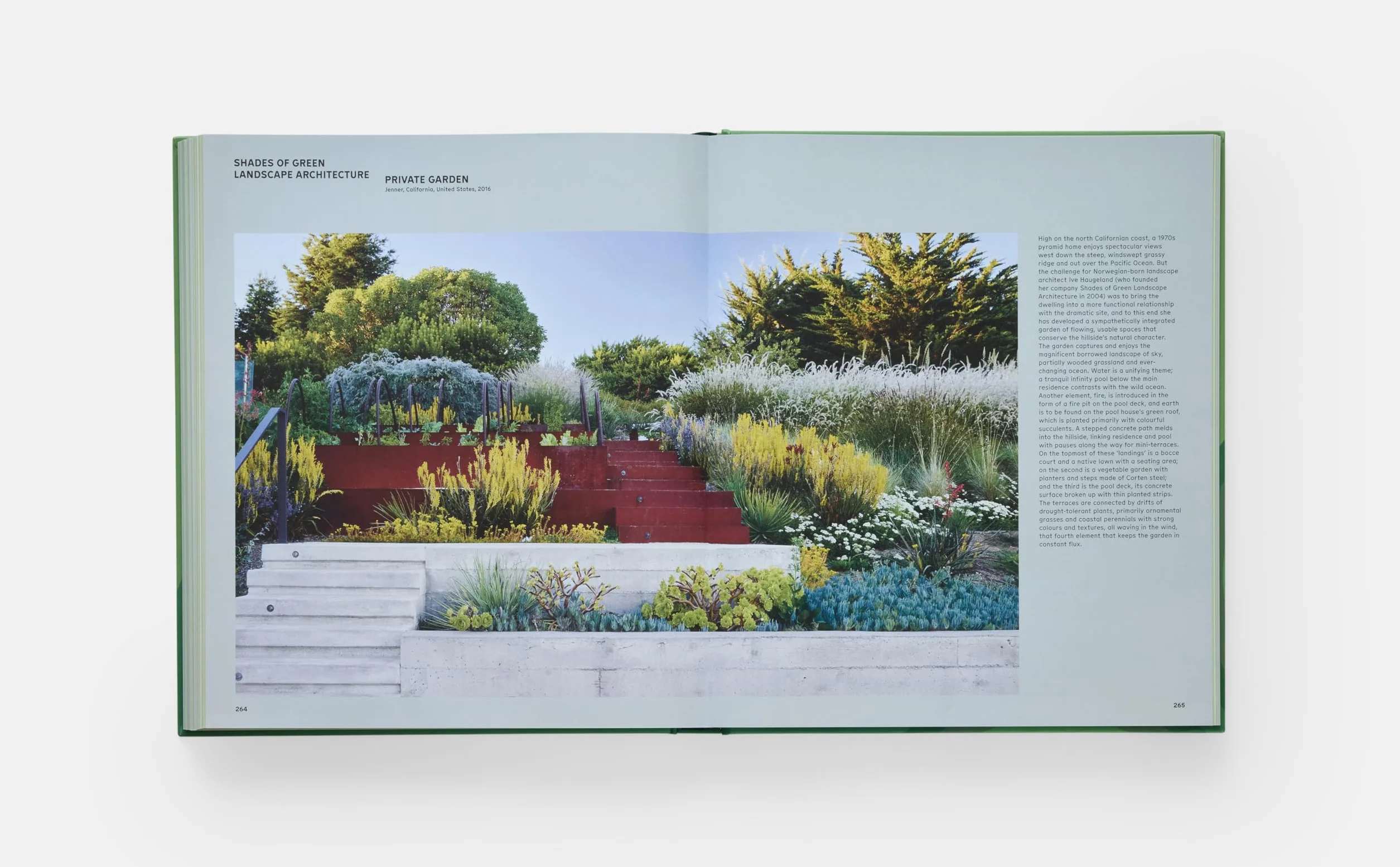 The Contemporary Garden