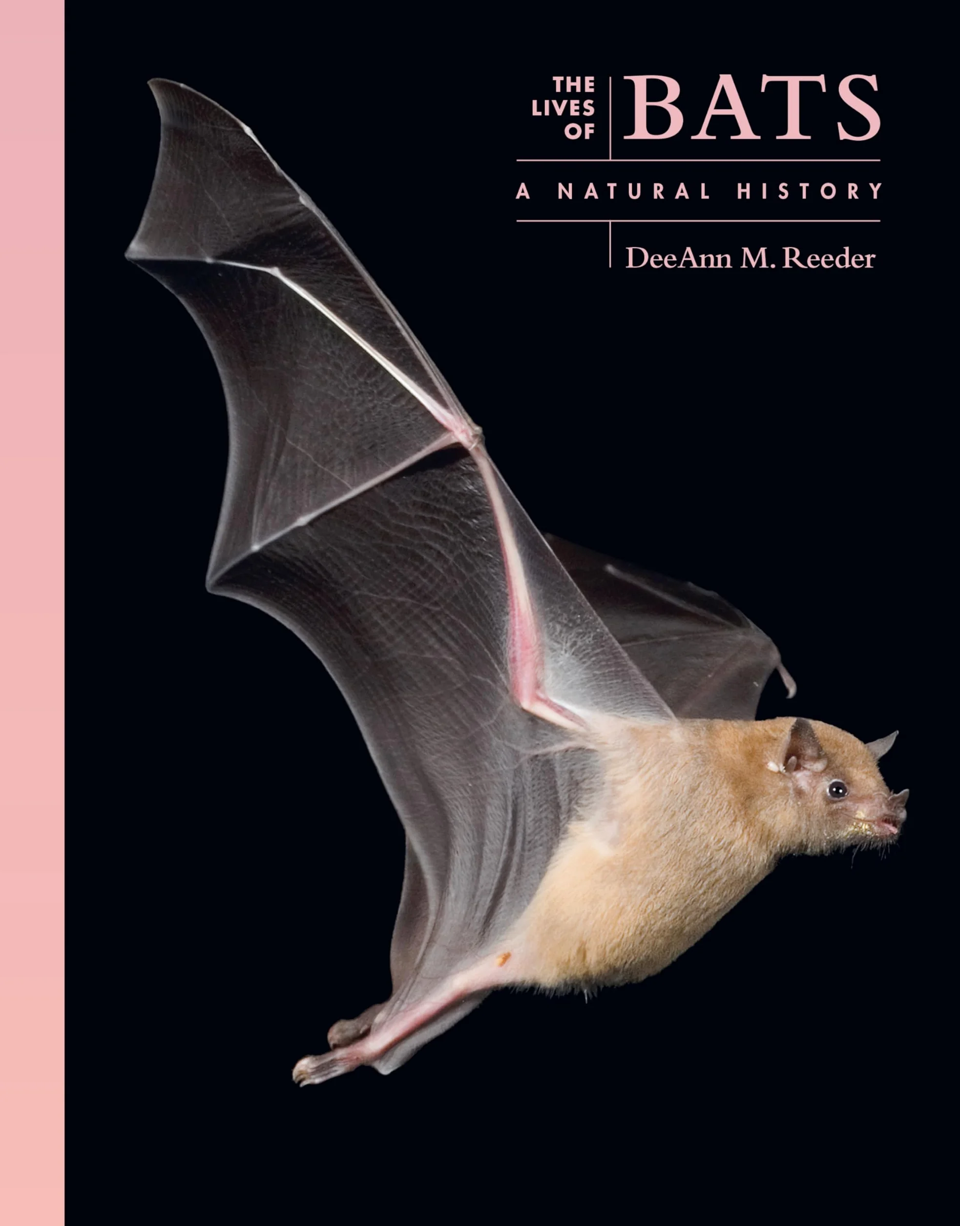 The Lives of Bats: A Natural History