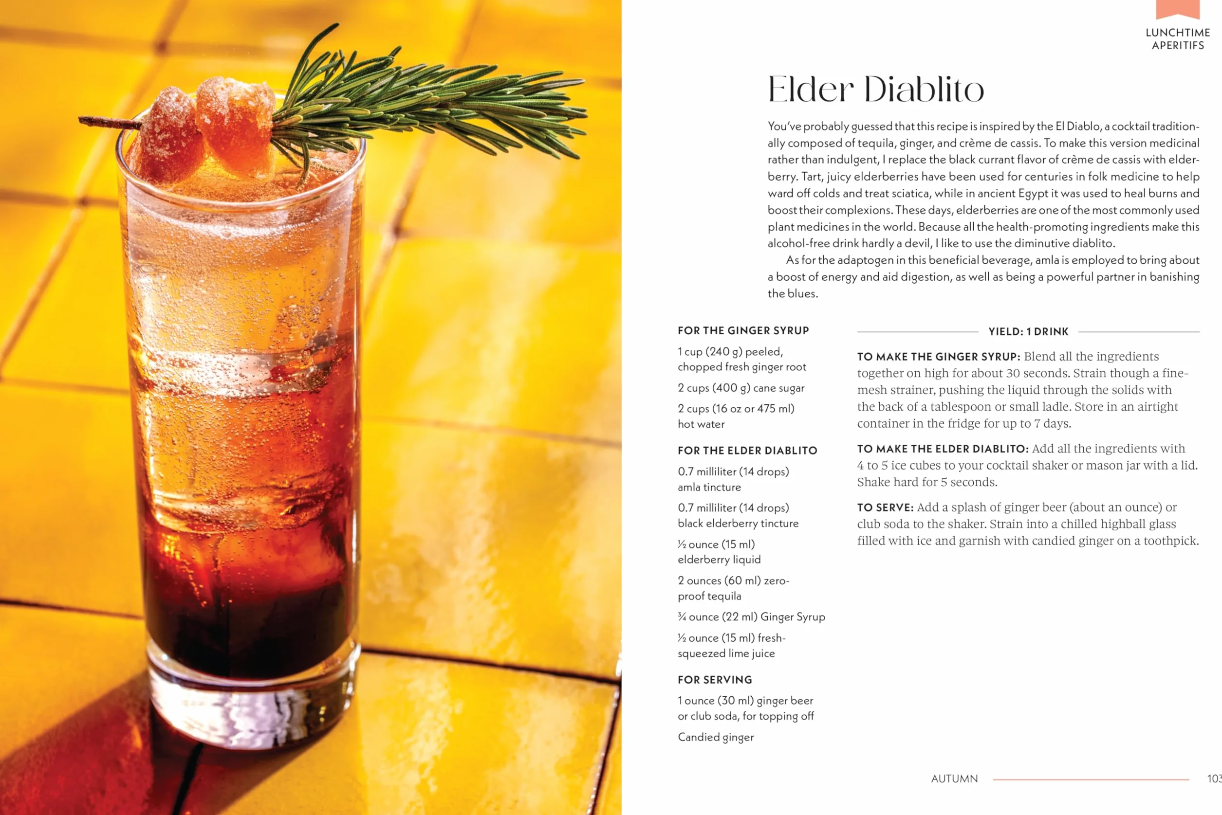 Drink Up and Glow: Non-Alcoholic, Adaptogen-Infused Drinks for Optimal Wellness, Energy, and Stress Relief