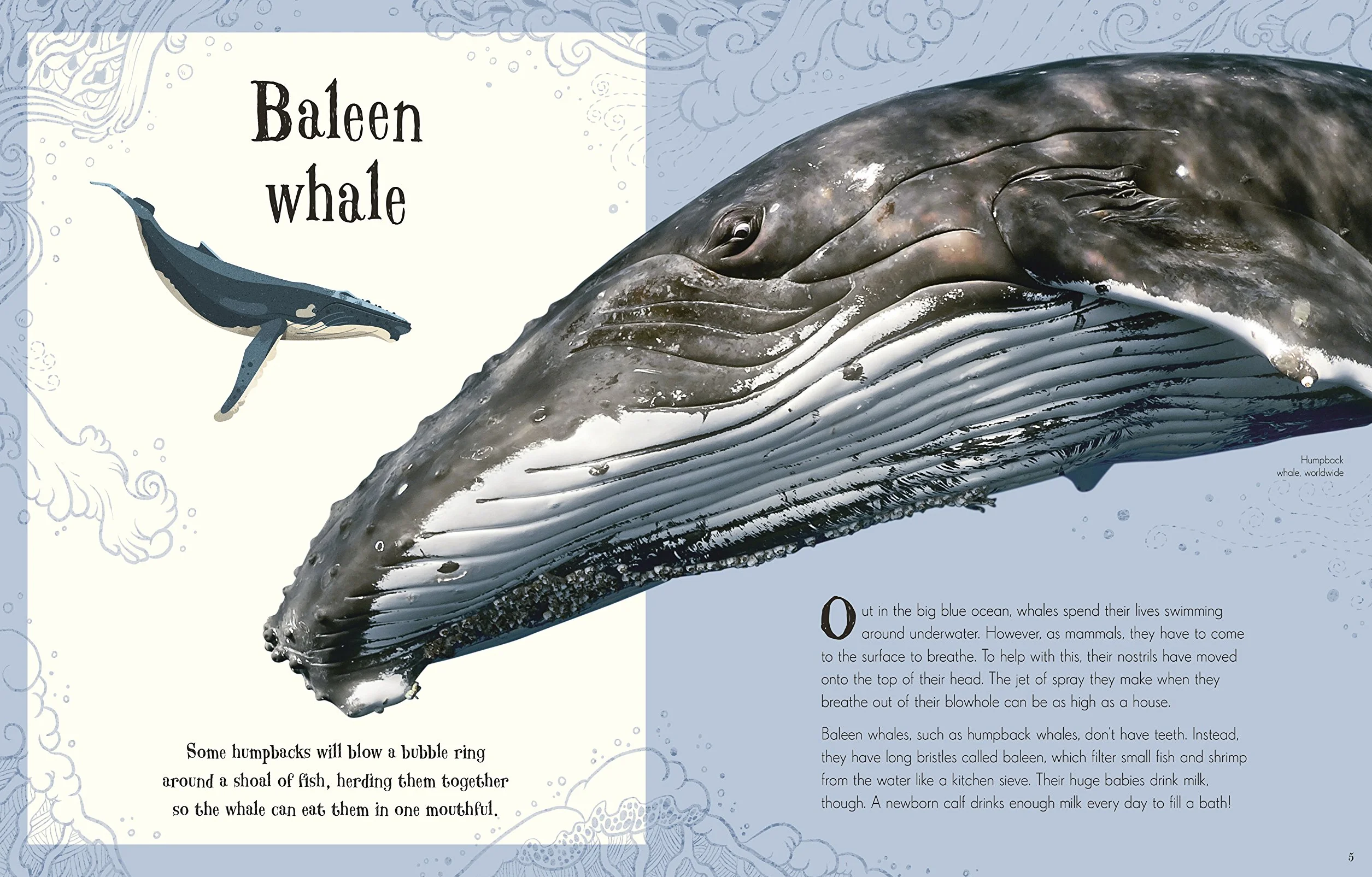 An Anthology of Intriguing Animals (DK Children's Anthologies): Discover the Fascinating Truths of the Animal Kingdom