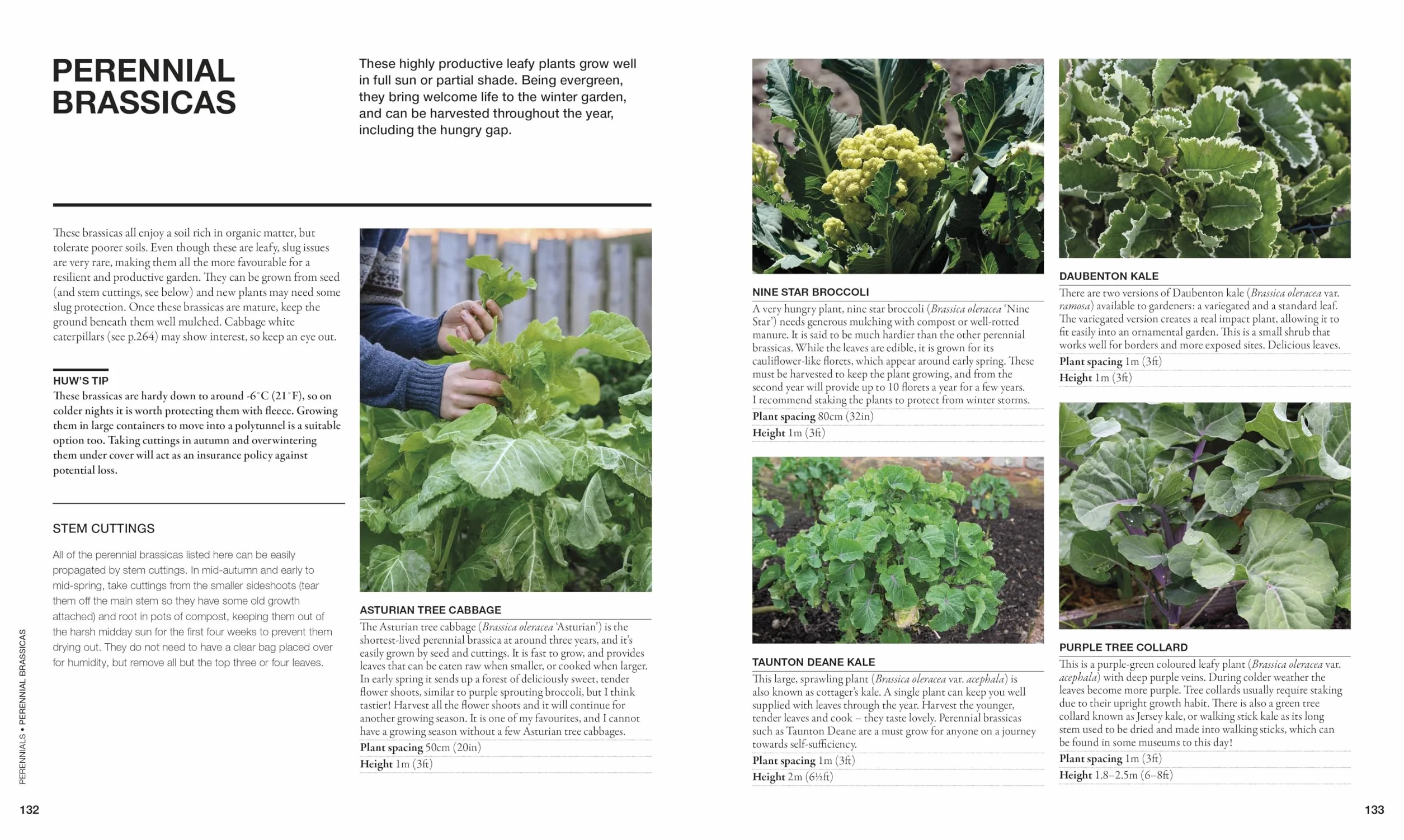 The Permaculture Garden: A Practical Approach to Year-round Harvests