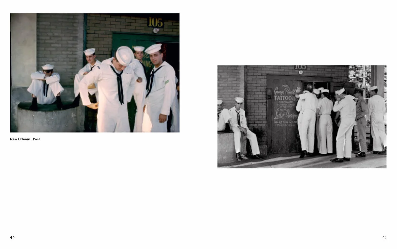 Joel Meyerowitz : A Question of Colour /anglais
