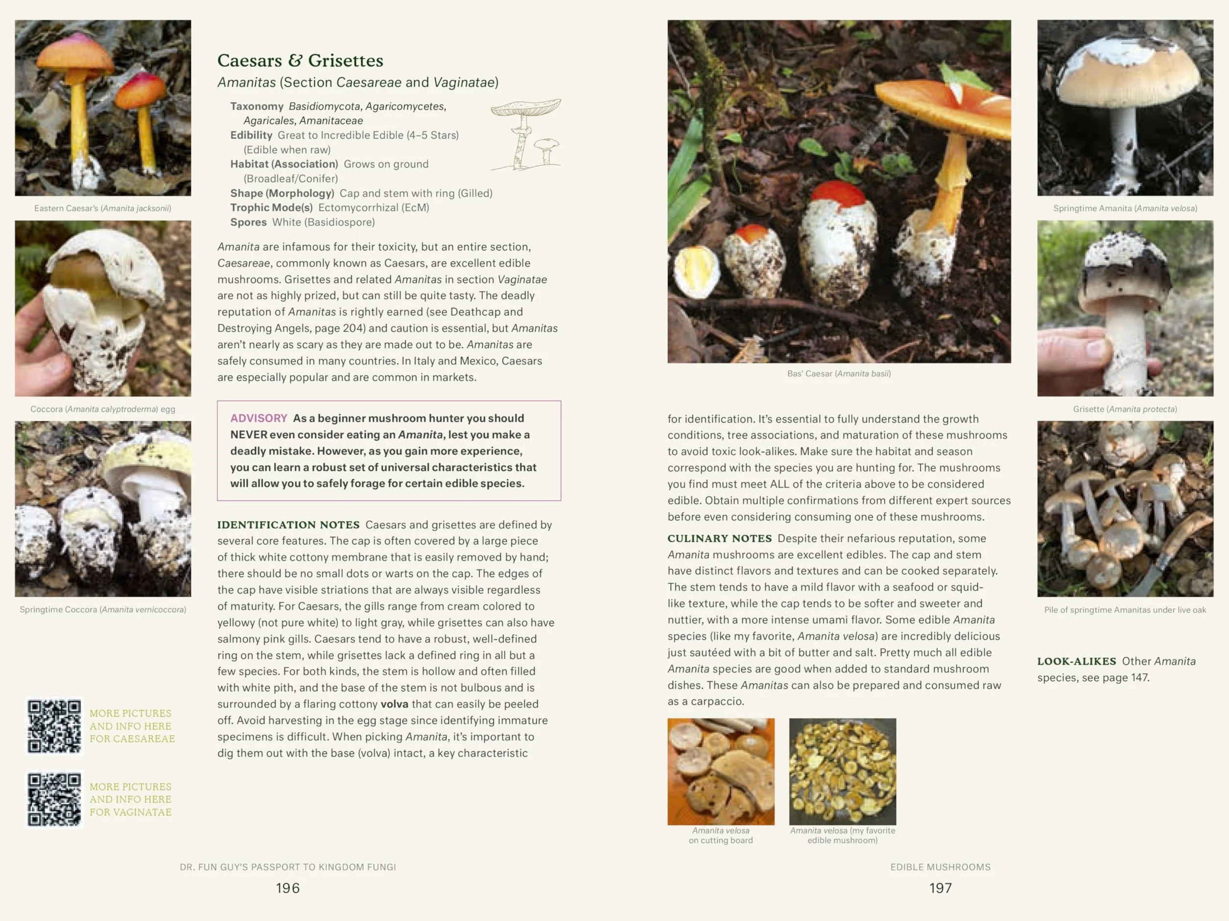 Dr. Fun Guy's Passport to Kingdom Fungi: A Scientist's Guide to the Wild and Wonderful World of Mushrooms, Molds, and More