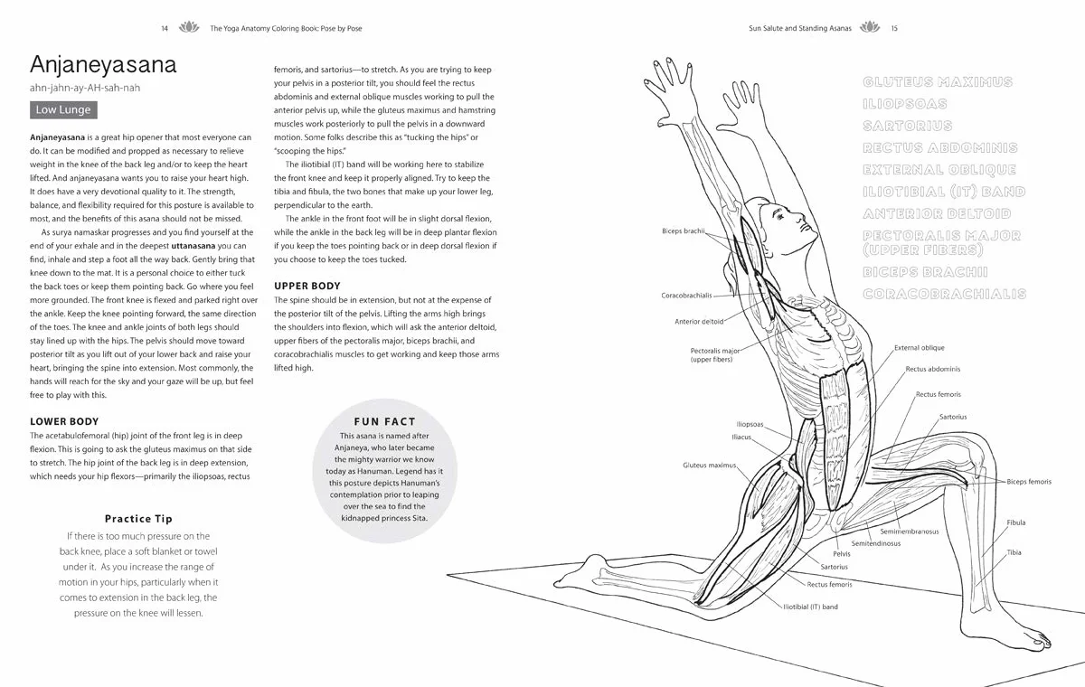 The Yoga Anatomy Coloring Book: Pose by Pose: Learn the Anatomy and Enhance Your Practice - An Educational Anatomy Coloring Book for Yoga Teachers, Medical Students, & Adults (Volume 2)
