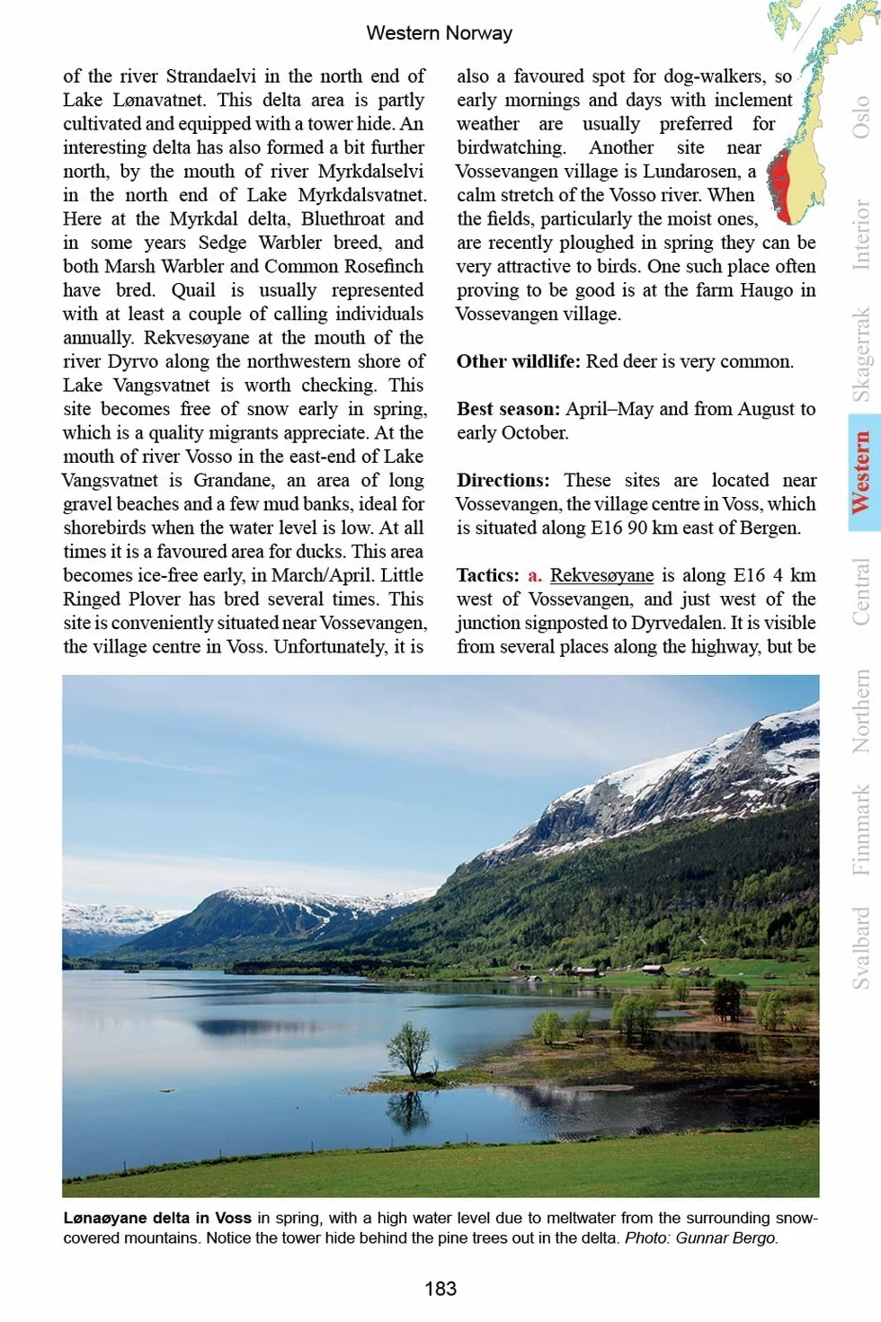 A Birdwatcher's Guide to Norway: Where, When and How to Find Scandinavia's Most Sought-After Birds