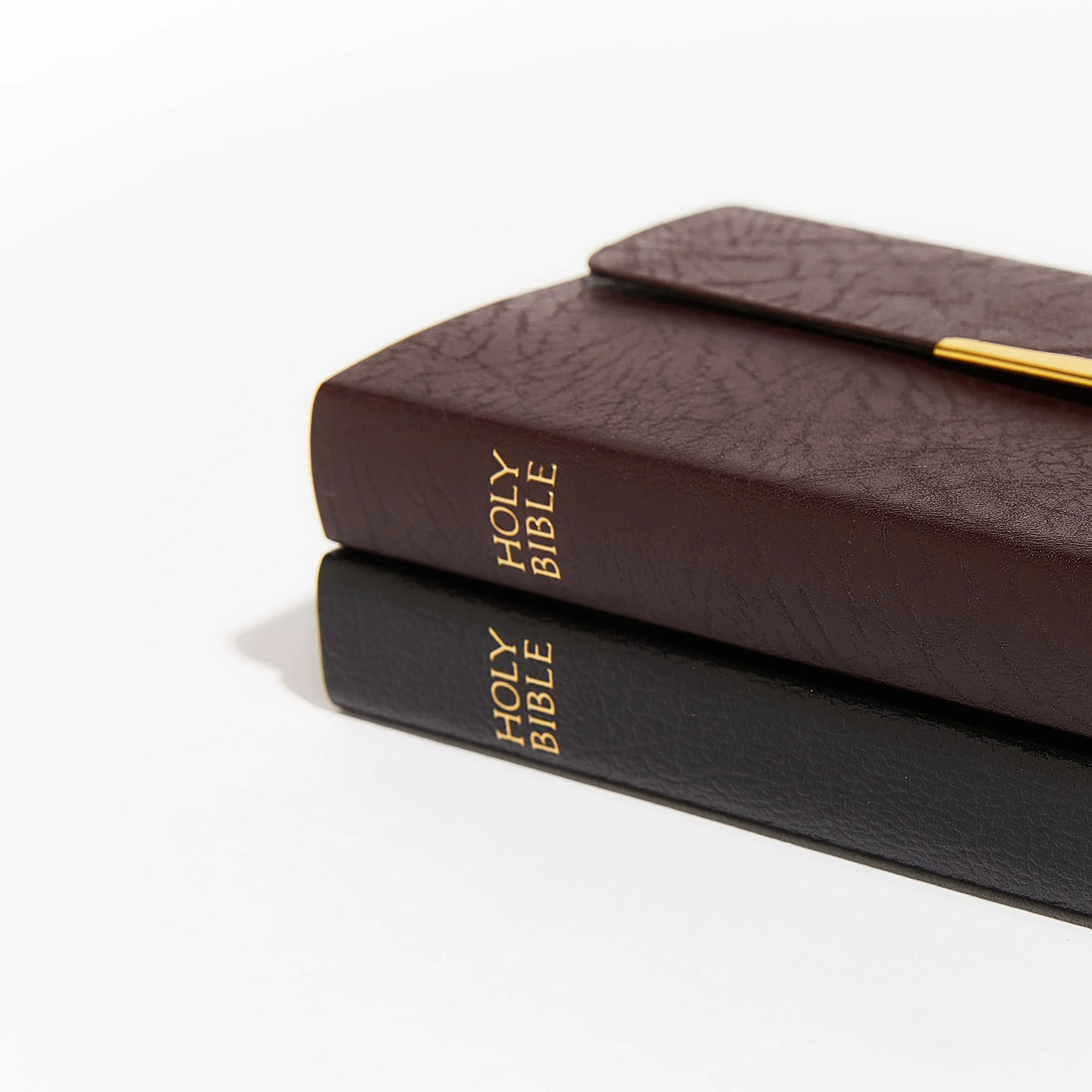 Classic Companion Bible-NKJV-Snap Flap: Holy Bible, New King James Version