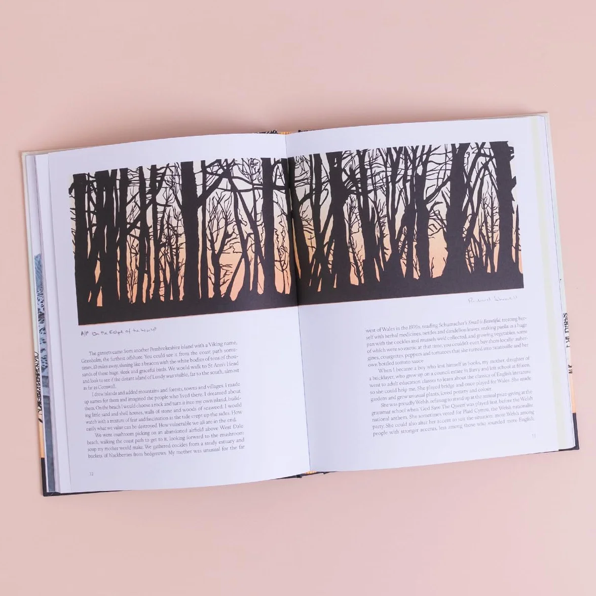 Trees in Winter: A Beautiful Book for Anyone Who Loves Printmaking and Nature