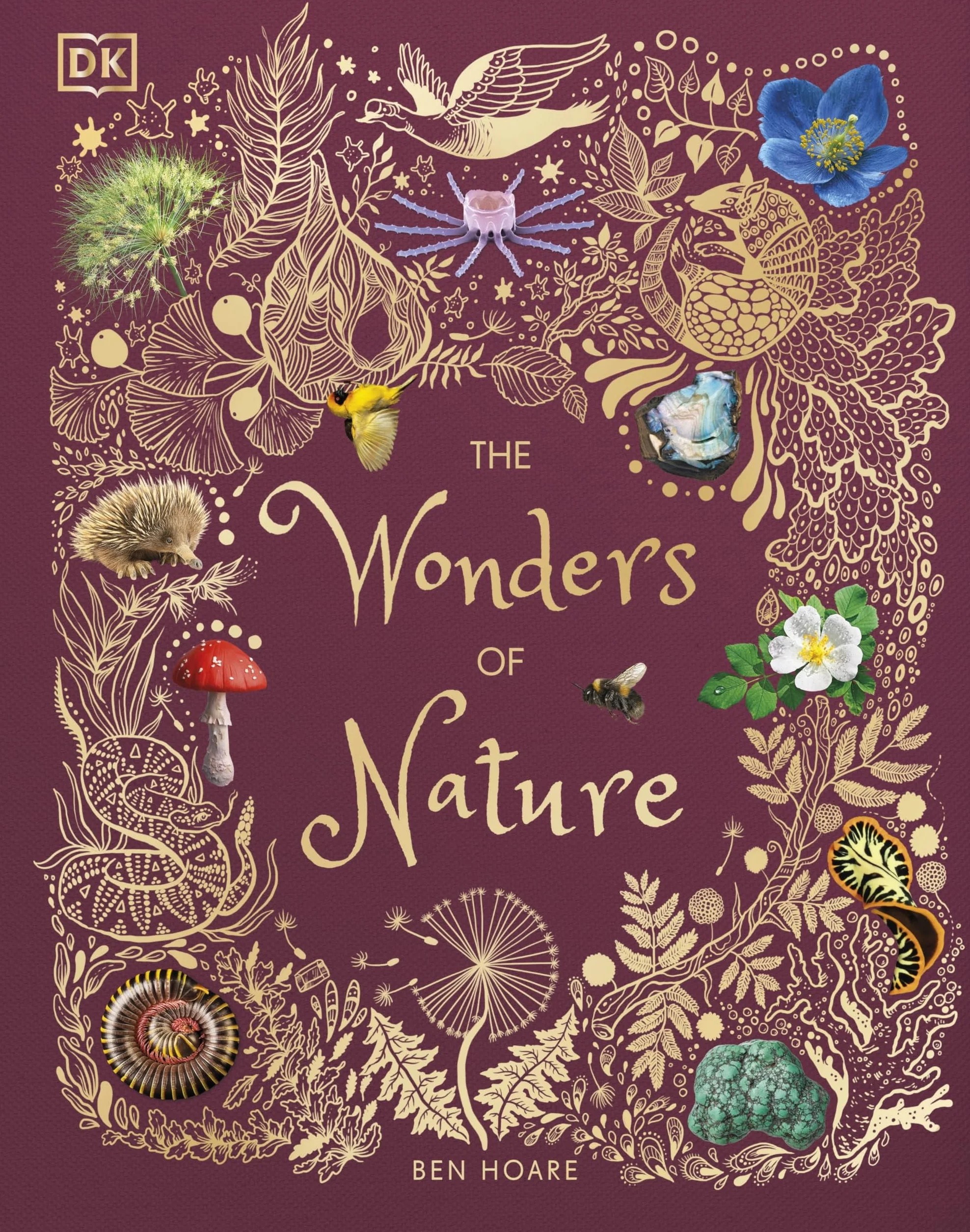 The Wonders of Nature (DK Children's Anthologies): Discover the Incredible Stories of the Natural World